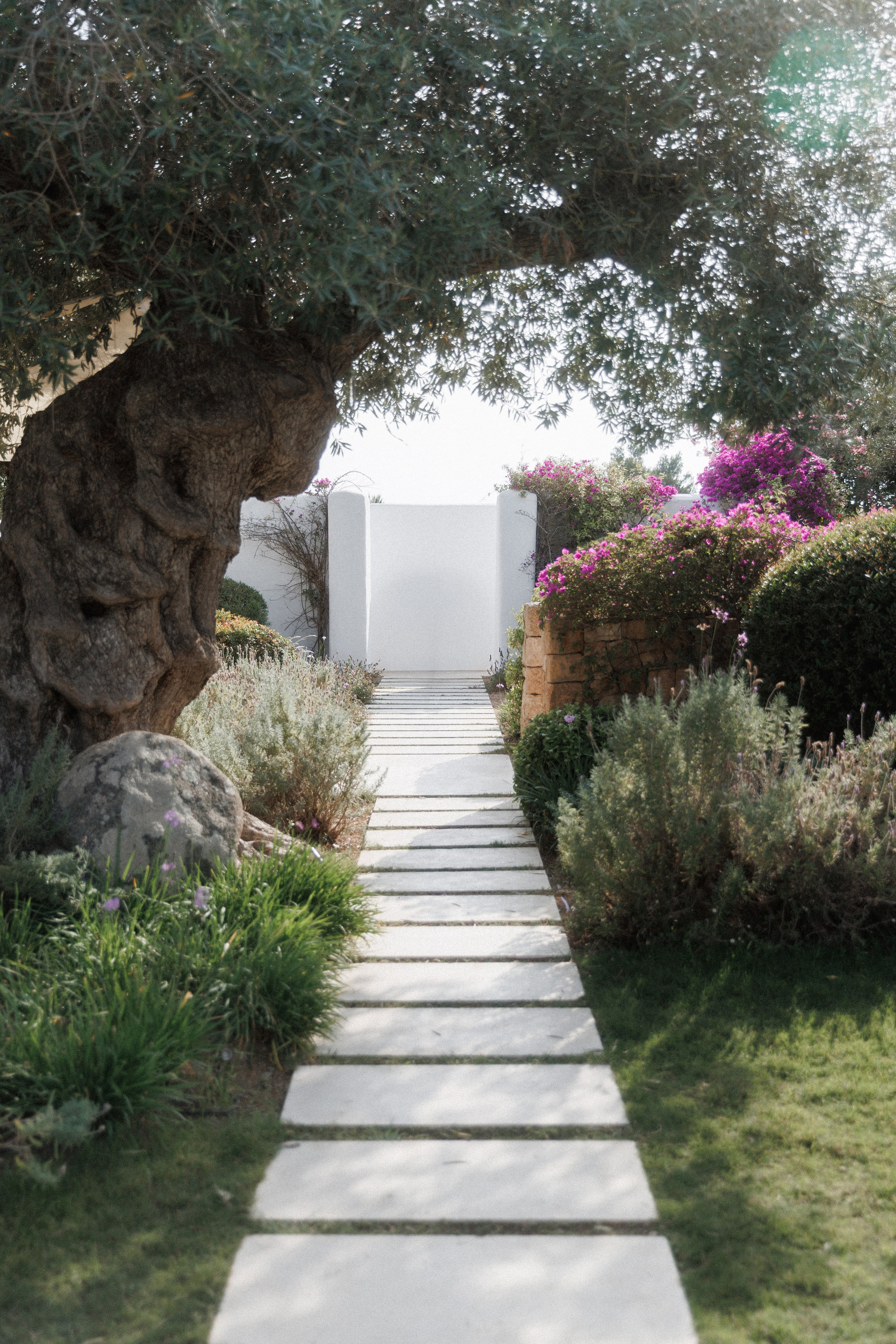 Camilla & Mirko. Sabina Ibiza. Paola wedding photographer / videographer in Barcelona