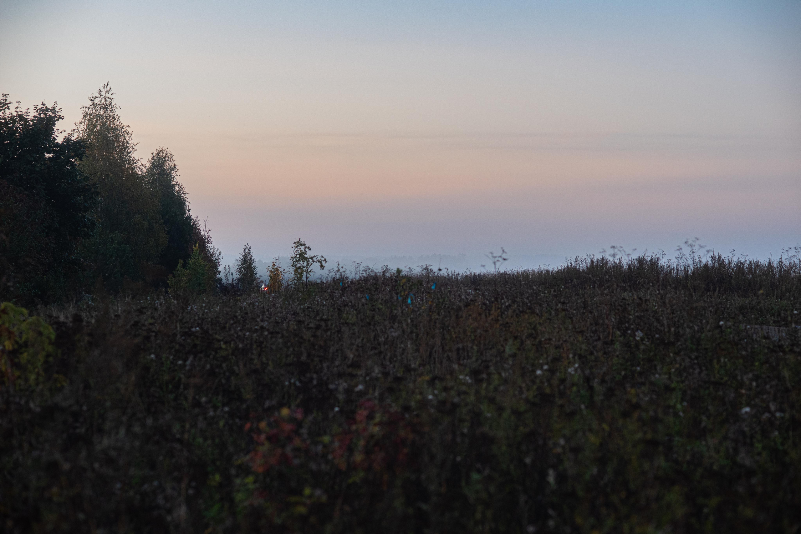 Дачные зарисовки. Kindshephoto Женский и семейный фотограф Москва