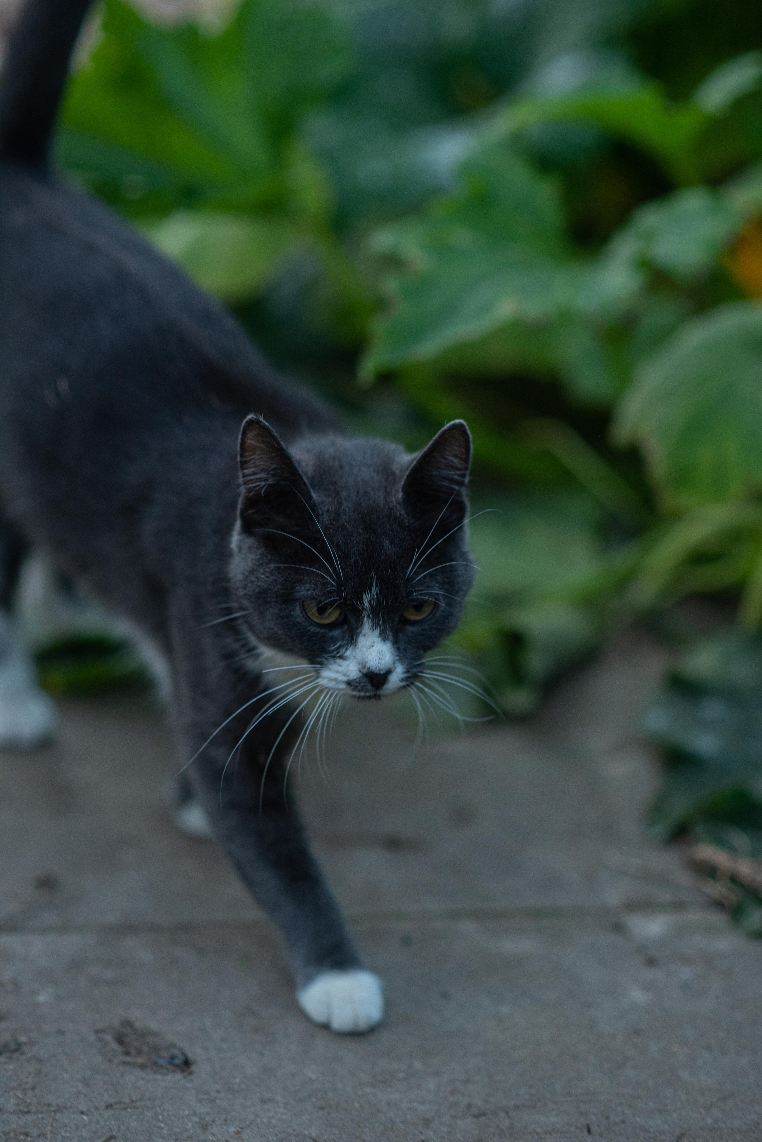 Дачные зарисовки. Kindshephoto Женский и семейный фотограф Москва