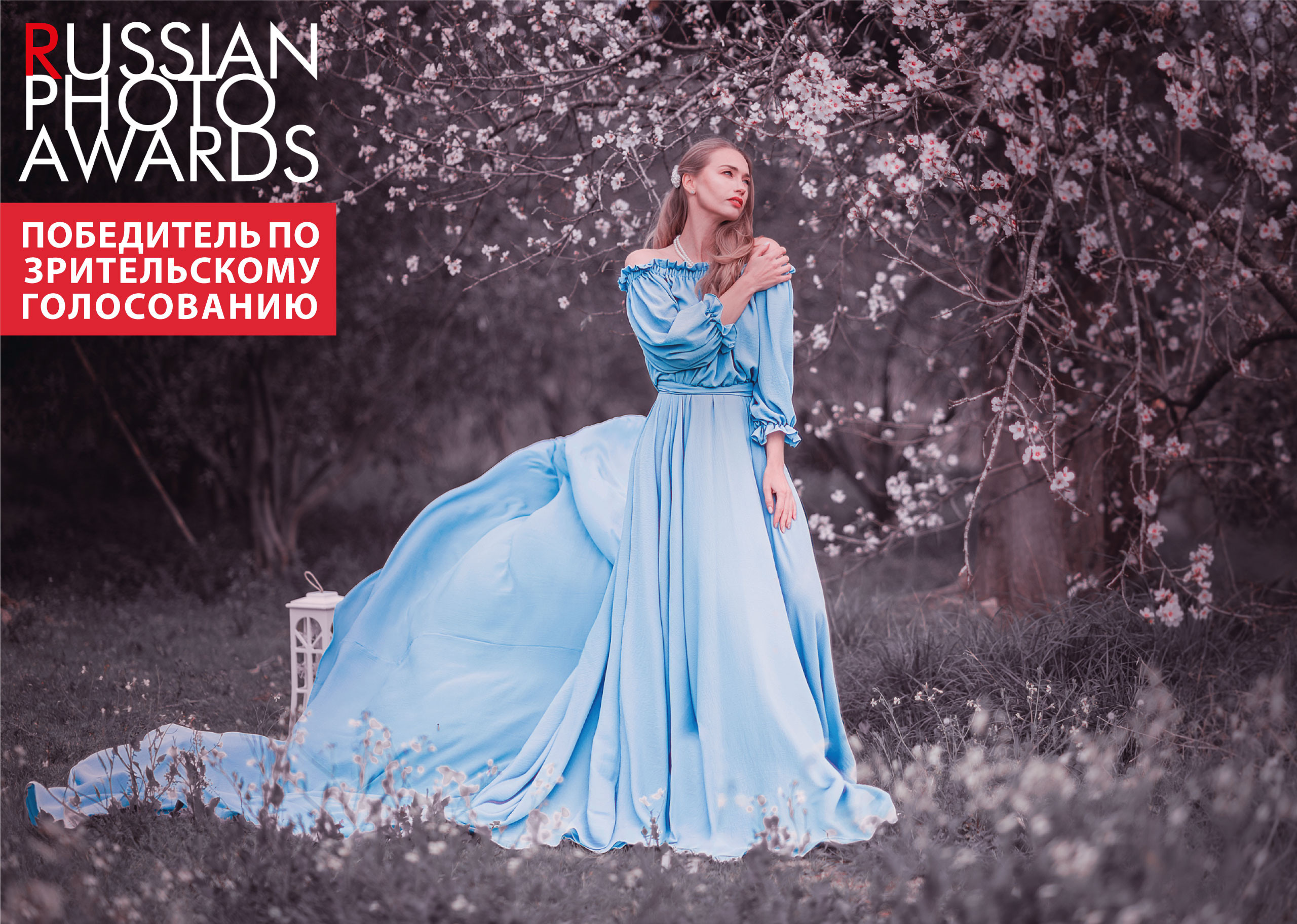 Мои дипломы. Kindshephoto Женский и семейный фотограф Москва