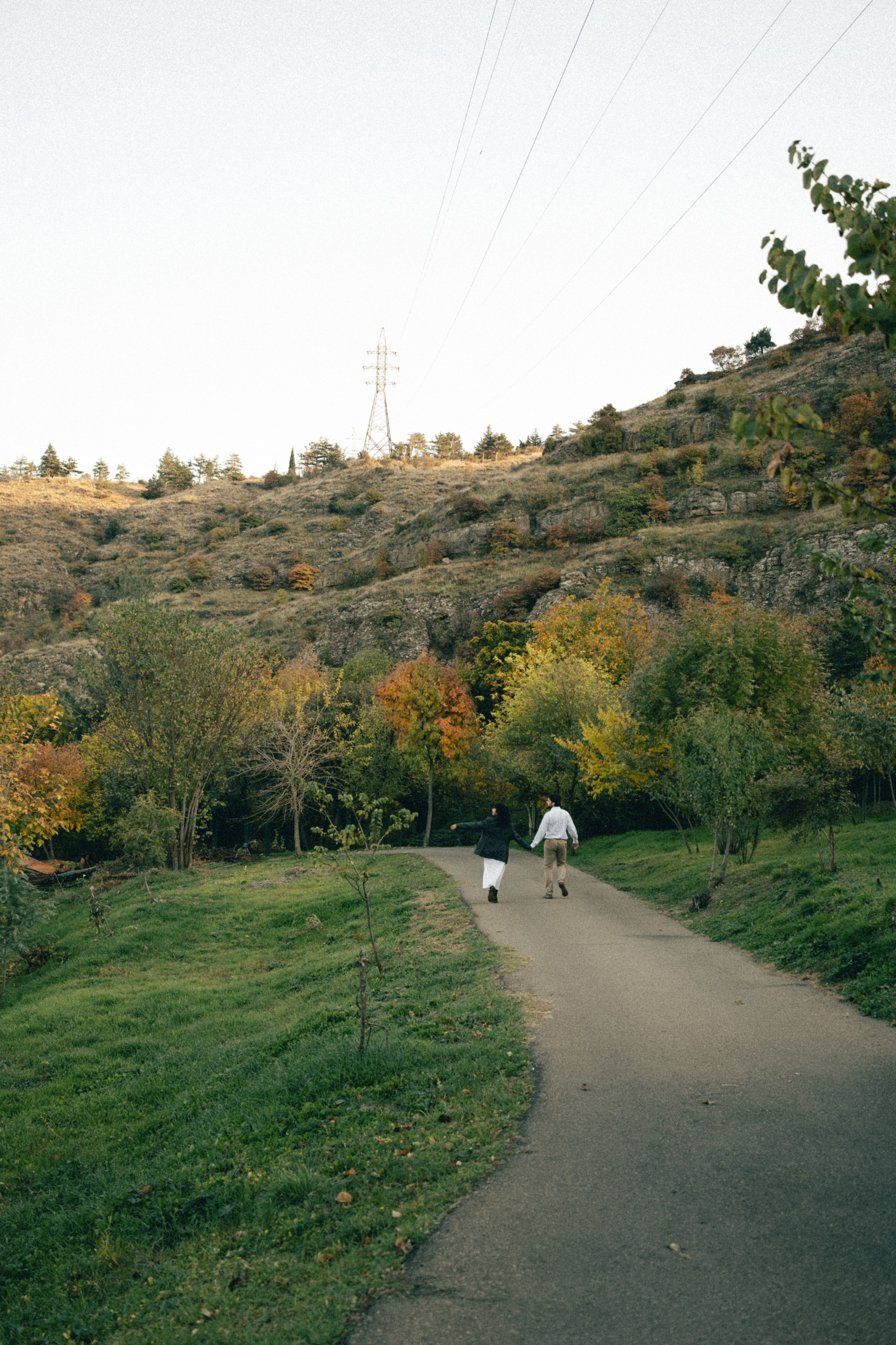 Botanical garden | Alessandro & Johanna. Главная