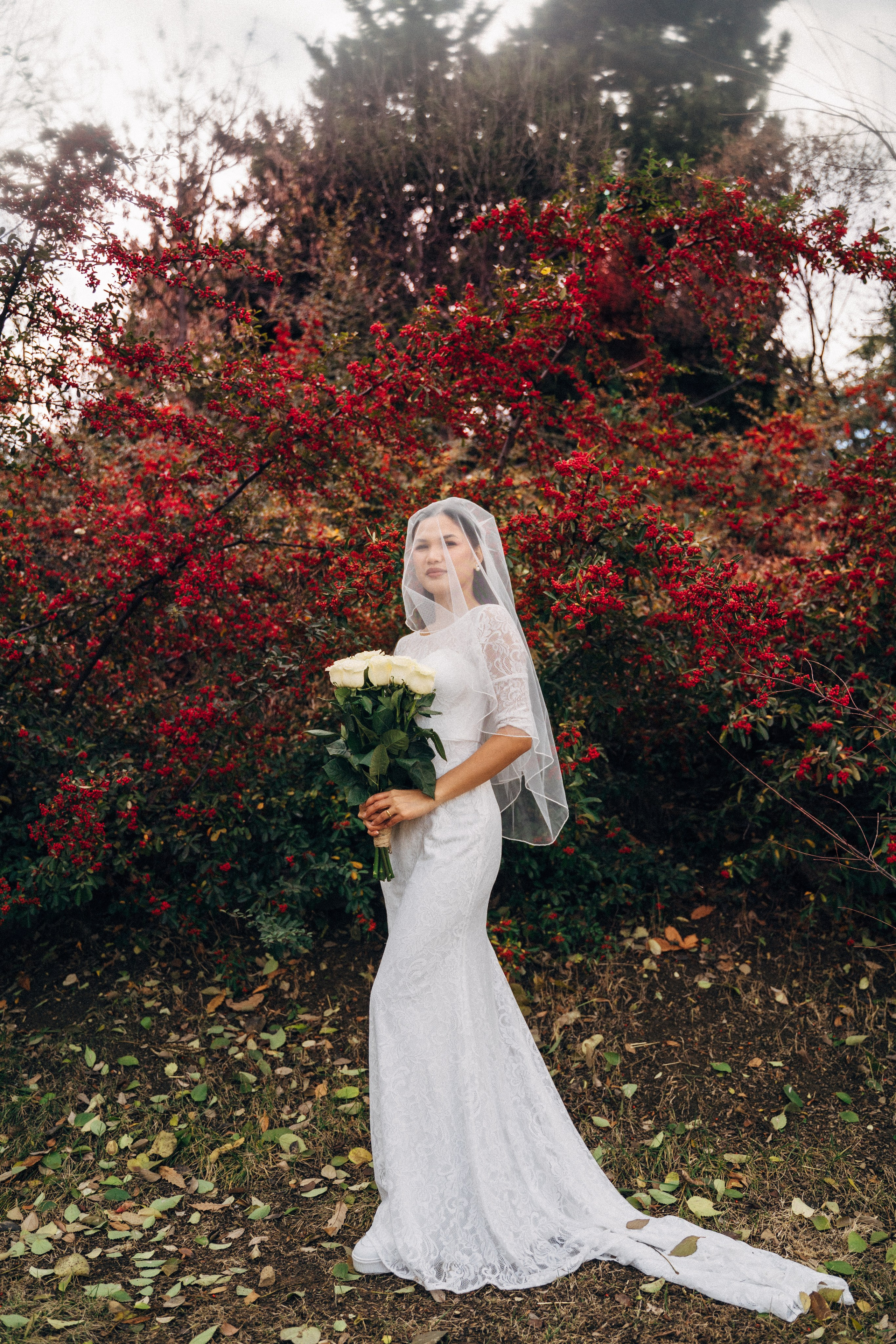 Wedding photo shoot in the Tbilisi Botanical Garden in winter