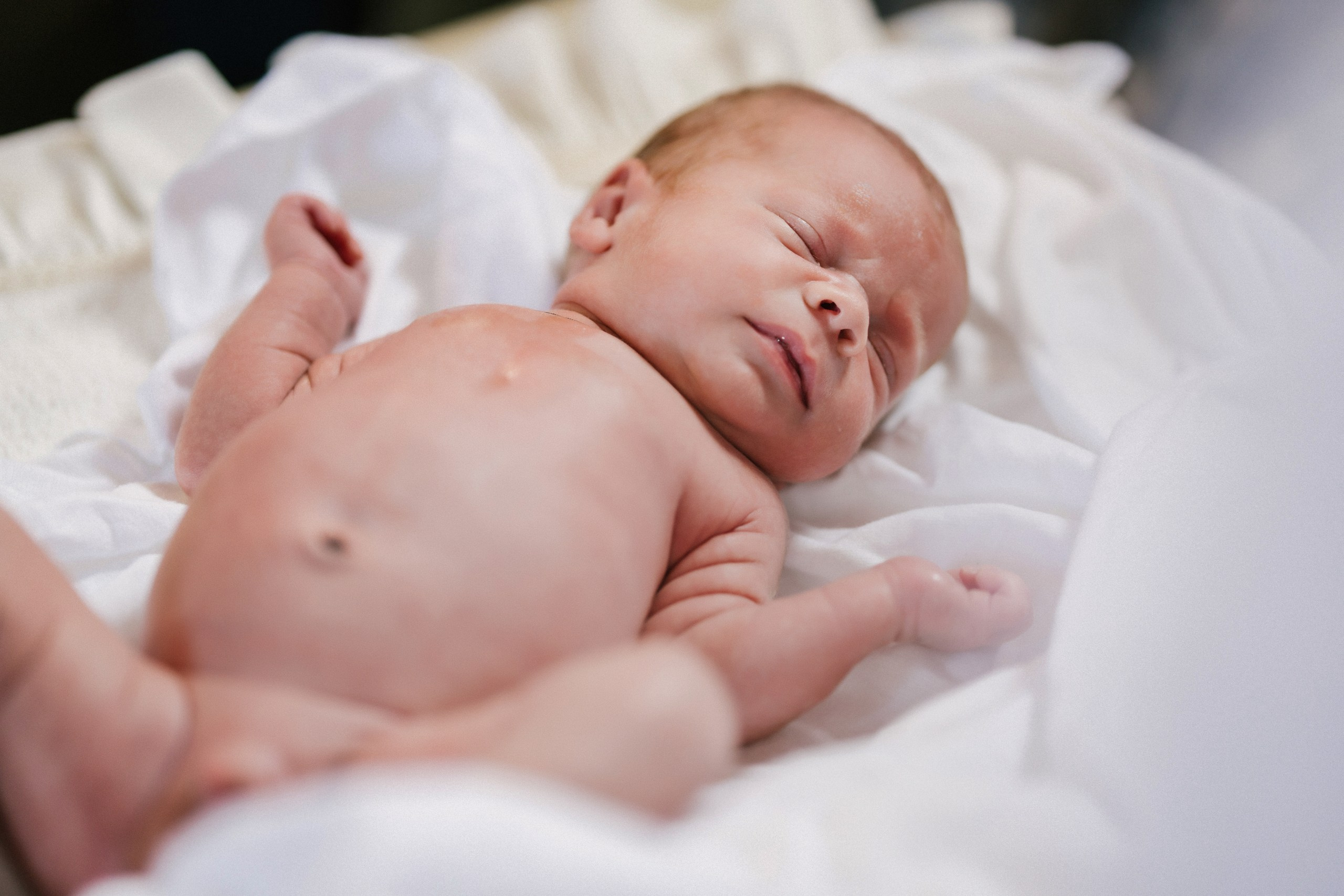 botez Luca Nectarie 22 februarie 2026 fotograf profesionist	•	fotograf botez Botoșani Luca Nectarie biserică	•	părinți Răzvan și Ramona botez copil emoții familie	•	nași Marin și Rodica botez copil fotografie profesională	•	detalii botez lumânare cristelniță biserică România	•	copil Luca Nectarie în brațe la botez moment emoționant	•	familie fericită la botez copil fotograf Alin Chirilă	•	fotografie botez naturală lumină caldă biserică	•	portret copil botez Luca Nectarie fotograf profesionist	•	momente autentice botez România familie și nași	•	slujbă botez copil imagini emoționante biserică	•	fotograf botez Iași și Botoșani Alin Chirilă - nunta--fotograf-profesionist-botosani  - fotografie-nunta-romantica - imagini-nunta-in-natura-alin-chirila-fotograf  - fotografii-cuplu-indragostit-nunta-botosani  - sedinta-foto-miri-andrei-iustina-alinofotostudio  - amintiri-din-nunta-realizate-de-fotograf-profesionist  - povestea-nuntii-andrei-si-iustina-in-imagini-alinofotostudio-fotograf evenimente- evenimente Botoșani -fotograf Suceava - fotograf Iași- servicii foto. servicii foto Botoșani. servicii foto video Botoșani. otograf-nunta-botosani-fotograf nunta. fotograf evenimente. fotograf nunta Botoșani. Alin chirila. Alin chirila fotograf. Alinofotostudio.- servicii foto. servicii foto Botoșani. servicii foto video Botoșani. fotograf nunta. fotograf evenimente. fotograf nunta Botoșani. Alin chirila. Alin chirila fotograf. Alinofotostudio.fotograf stare civilă,poze stare civilă,album foto stare civilă,servicii foto suceava,fotograf evenimente suceava,fotograf nuntă suceava,poze cununie civilă,ședință foto stare civilă,sesiune foto suceava,fotograf profesionist suceava,fotograf botosani,stare civila botosani,alinofotostudio,alin chirila fotograf.servicii foto. servicii foto Botoșani. servicii foto video Botoșani. fotograf nunta. fotograf evenimente. fotograf nunta Botoșani. Alin chirila. Alin chirila fotograf. Alinofotostudio.fotograf stare civilă,poze stare civilă,album foto stare civilă,servicii foto suceava,fotograf evenimente suceava,fotograf nuntă suceava,poze cununie civilă,ședință foto stare civilă,sesiune foto suceava,fotograf profesionist suceava,fotograf botosani,stare civila povestitor prin fotografiebotosani,alinofotostudio,alin chirila fotograf,servicii foto. servicii foto Botoșani. servicii foto video Botoșani. fotograf nunta. fotograf evenimente. fotograf nunta Botoșani. Alin chirila. Alin chirila fotograf. Alinofotostudio.fotograf stare civilă,poze stare civilă,album foto stare civilă,servicii foto suceava,fotograf evenimente suceava,fotograf nuntă suceava,poze cununie civilă,ședință foto stare civilă,sesiune foto suceava,fotograf profesionist suceava,fotograf botosani,stare civila botosani,alinofotostudio,alin chirila fotograf,cununie religioasă botoșani,andreea și neculai,capela militară botoșani,foto conacul zăicești,fotograf nuntă botoșani,fotograf cununie religioasă,foto evenimente botoșani,poze cununie capela militară,ședință foto zăicești,fotograf profesionist botoșaniMire și mireasă – Sergiu & Liliana – ziua nunții, 2024  - Emoții în ziua nunții – Sergiu și Liliana  - Dansul mirilor – fotografie artistică nuntă 2024  - Sedinta foto romantică în natură – Sergiu & Liliana  - Rochia de mireasă și detalii de nuntă elegan-Album de cununie civilă Florin și Anda – Fotografii profesionale realizate de Alin Chirilă în Botoșani -fotograf prin fotografie-Ședință foto Trash the Dress pe muntele Rarău cu Iulian și Iuliana – fotografie de cuplu, natură montană, emoție autentică surprinsă de Alin Chirilă, povestitor prin fotografie.- "Iulian și Iuliana pe crestele Rarăului – fotografie Trash the Dress în natură"  - "Cuplu îmbrățișat la apus pe muntele Rarău – ședință foto după nuntă"  - "Rochie de mireasă în vânt pe munte – Trash the Dress Rarău-1. Iulian și Iuliana pe muntele Rarău – ședință foto Trash the Dress în natură, cu peisaj montan spectaculos  2. Cuplu în îmbrățișare pe Rarău – emoție autentică surprinsă după nuntă  3. Rochie de mireasă în bătaia vântului – fotografie artistică Trash the Dress în munți  4. Mire și mireasă privind spre orizont – dragoste și libertate pe muntele Rarău  5. Iuliana zâmbind în rochia de mireasă – portret în natură, Trash the Dress  6. Iulian ținându-și mireasa de mână – ședință foto romantică pe munte  7. Detaliu cu rochia pe stâncă – estetică naturală Trash the Dress Rarău  8. Cuplu în mers pe poteca Rarăului – fotografie simbolică de după nuntă  9. Apus de soare pe Rarău în spatele mirilor – imagine de poveste Trash the Dress  10. Iulian și Iuliana râzând împreună – momente autentice surprinse de Alin Chirilă, povestitor prin fotografie-fotograf-nunta-cerbu-botosan trash-the-dress-botosani Alin Chirilă Fotograf – fotograf de nuntă Botoșani-fotograf nuntă Botoșani-fotograf nuntă Cerbu Botoșani-fotograf profesionist nuntă Botoșani-fotografie de nuntă Botoșani-fotograf evenimente Botoșani-fotograf nuntă Moldova-fotograf trash the dress Botoșani	- fotograf pregătirea mirilor Botoșani	-fotograf ceremonie religioasă nuntă-fotograf petrecere nuntă Botoșani- fotograf nuntă Botoșani pregătirea mirelui- pregătirea mirelui fotografie nuntă Cerbu Botoșani-fotograf nuntă Botoșani pregătirea miresei -mireasă pregătiri nuntă Cerbu Botoșani-fotograf nuntă Botoșani nașii mirilor-ceremonie religioasă nuntă Cerbu Botoșani-fotograf nuntă Botoșani ceremonie religioasă biserică-petrecere nuntă Cerbu Botoșani invitați dans-fotograf nuntă Botoșani petrecere restaurant-ședință foto trash the dress-fotograf trash the dress Botoșani ședință foto după nuntă-Fotograf nuntă Botoșani – galerie foto reală de la evenimente stare civilă Sebi și Claudia Copălău	•	cununie civilă Primăria Copălău Botoșani	•	miri emoționați la starea civilă	•	semnarea actelor cununie civilă	•	fotografii naturale stare civilă Botoșani	•	familie și prieteni la cununie civilă	•	cadre emoționale cununie civilă	•	fotograf profesionist Botoșani eveniment stare civilă Sebi și Claudia la Primăria Copălău Botoșani fotograf evenimente	•	fotograf cununie civilă Copălău Botoșani cadre naturale și emoționale	•	fotograf profesionist Botoșani stare civilă Sebi și Claudia	•	momente autentice cununie civilă Copălău fotograf Alin Chirilă	•	fotografii emoționale stare civilă în județul Botoșani