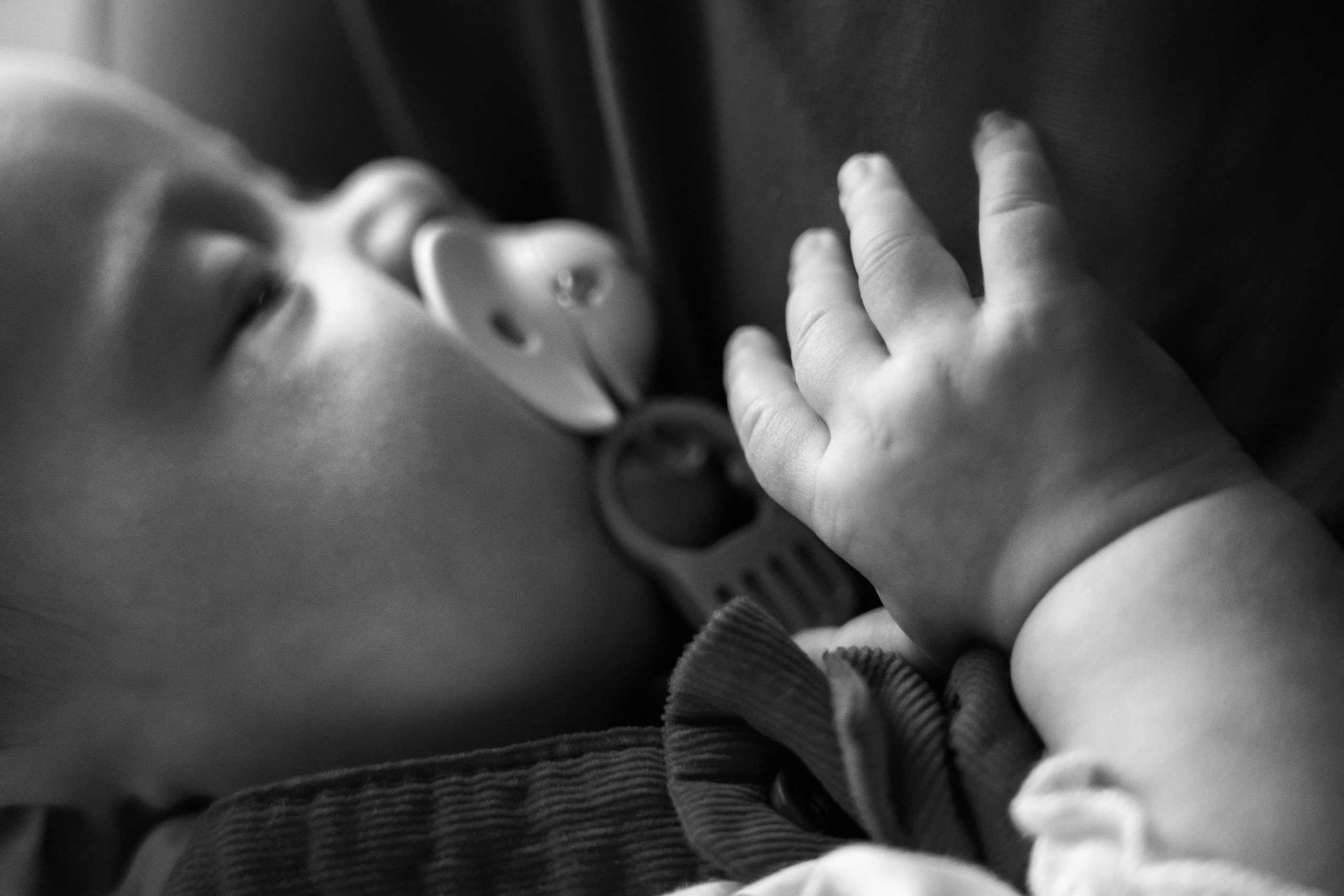 Rodinné focení v Teplicích