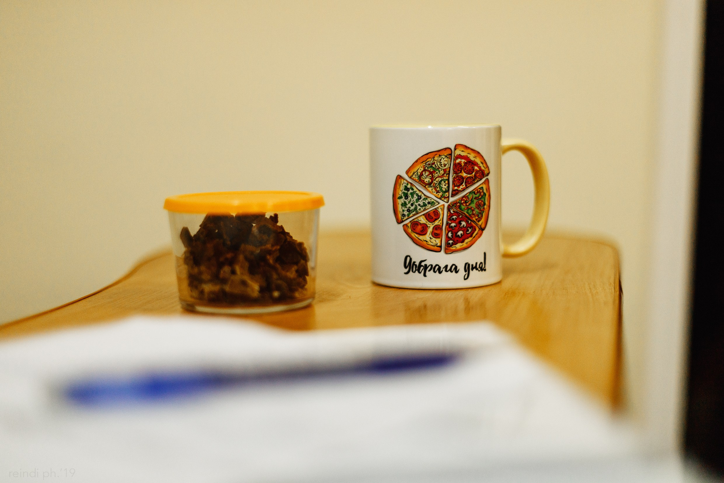 Dog handling hall. Kaja | fotograf we Wrocławiu | ludzie i psy