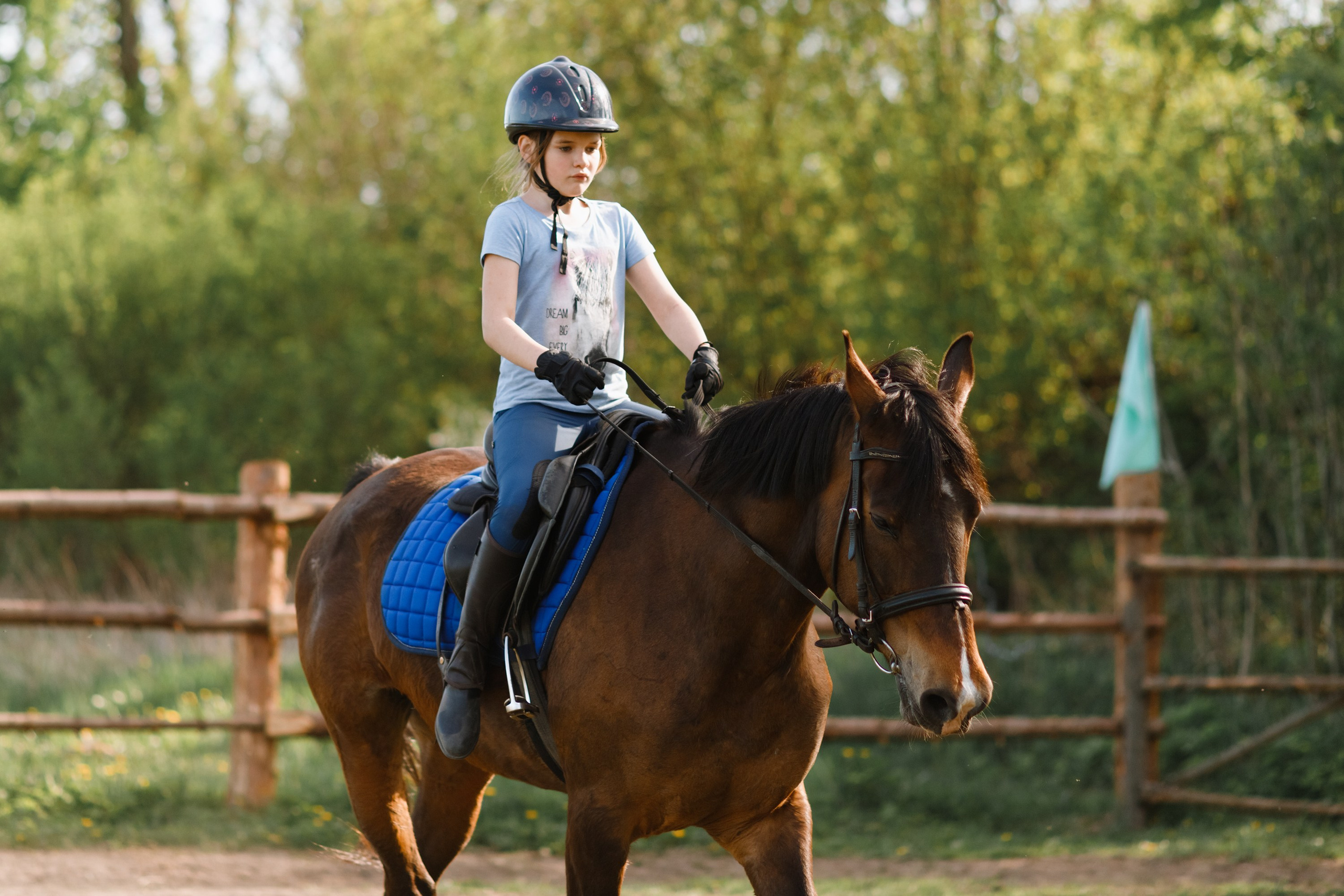 Girls & horses, summer. Kaja | fotograf psów we Wrocławiu