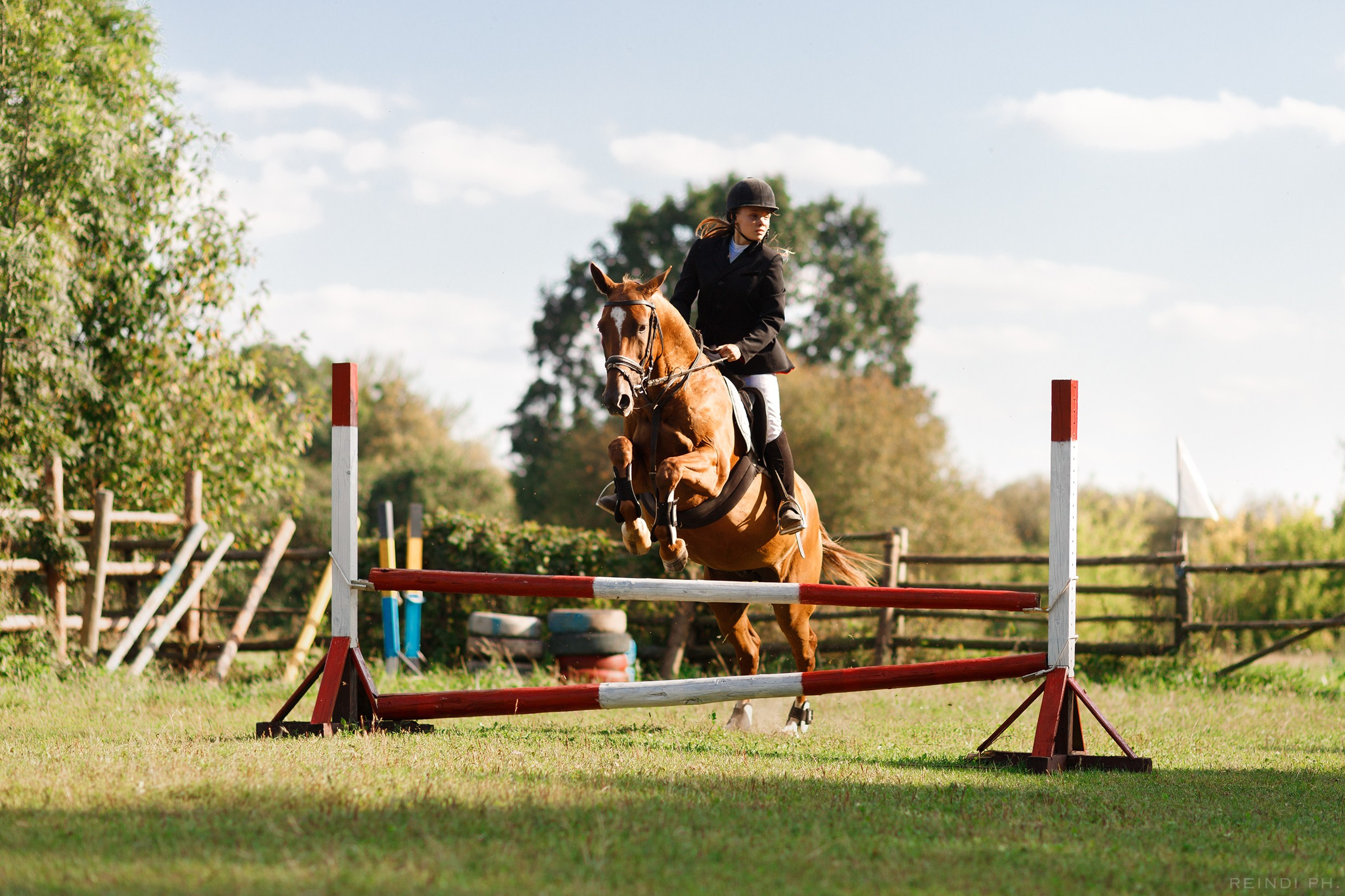 Horse show in the village. Kaja | fotograf we Wrocławiu | ludzie i psy