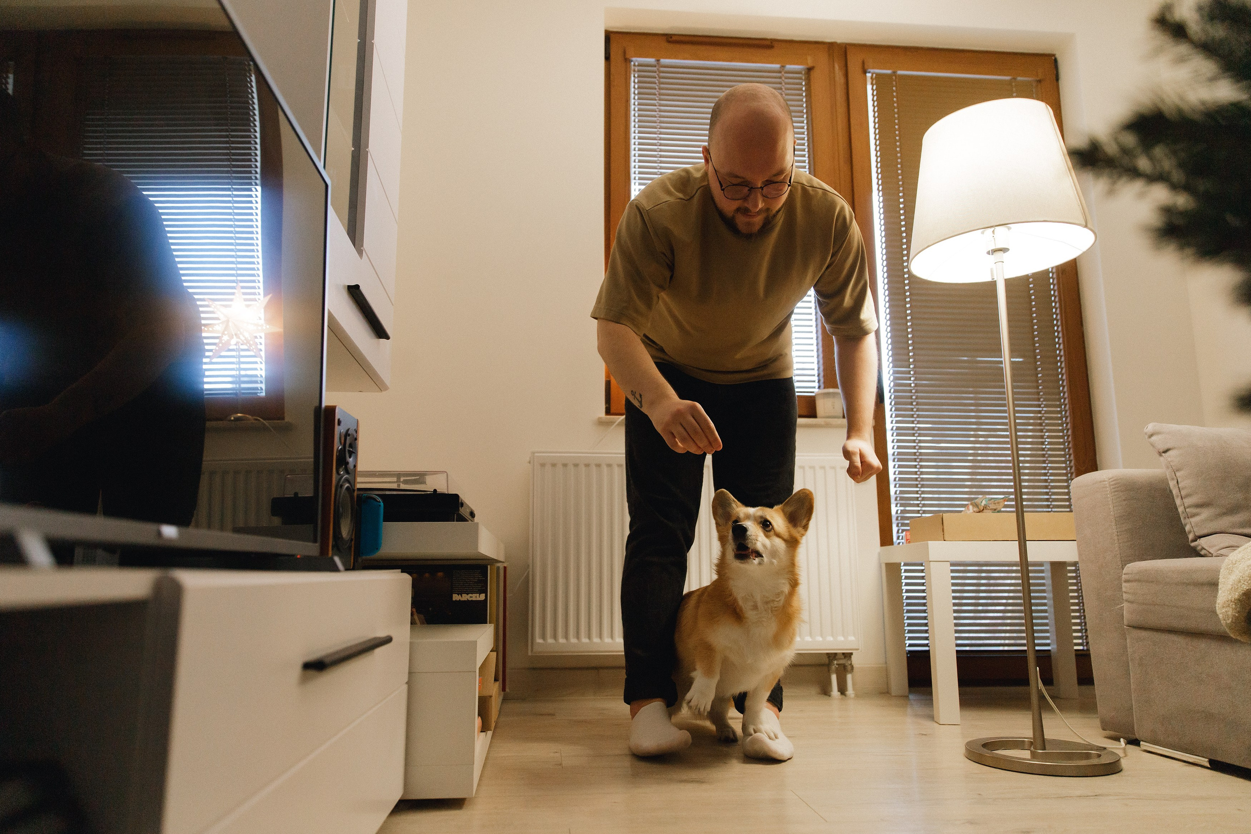 Dasha & Daisy. Kaja | fotograf psów we Wrocławiu