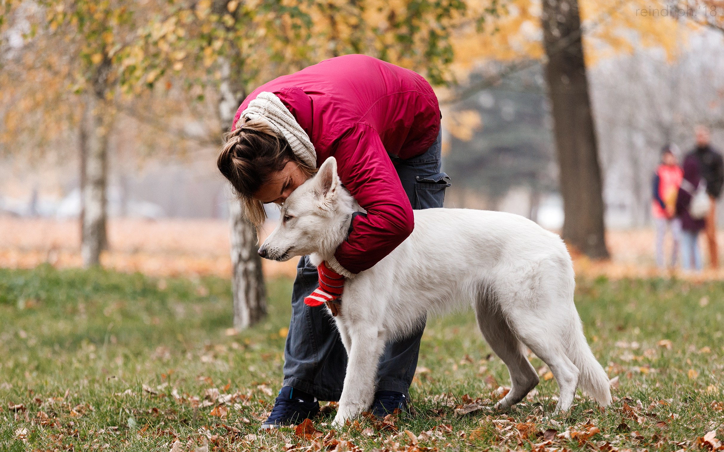 Frisbee and dog puller championship | autumn. Kaja | fotograf we Wrocławiu | ludzie i psy