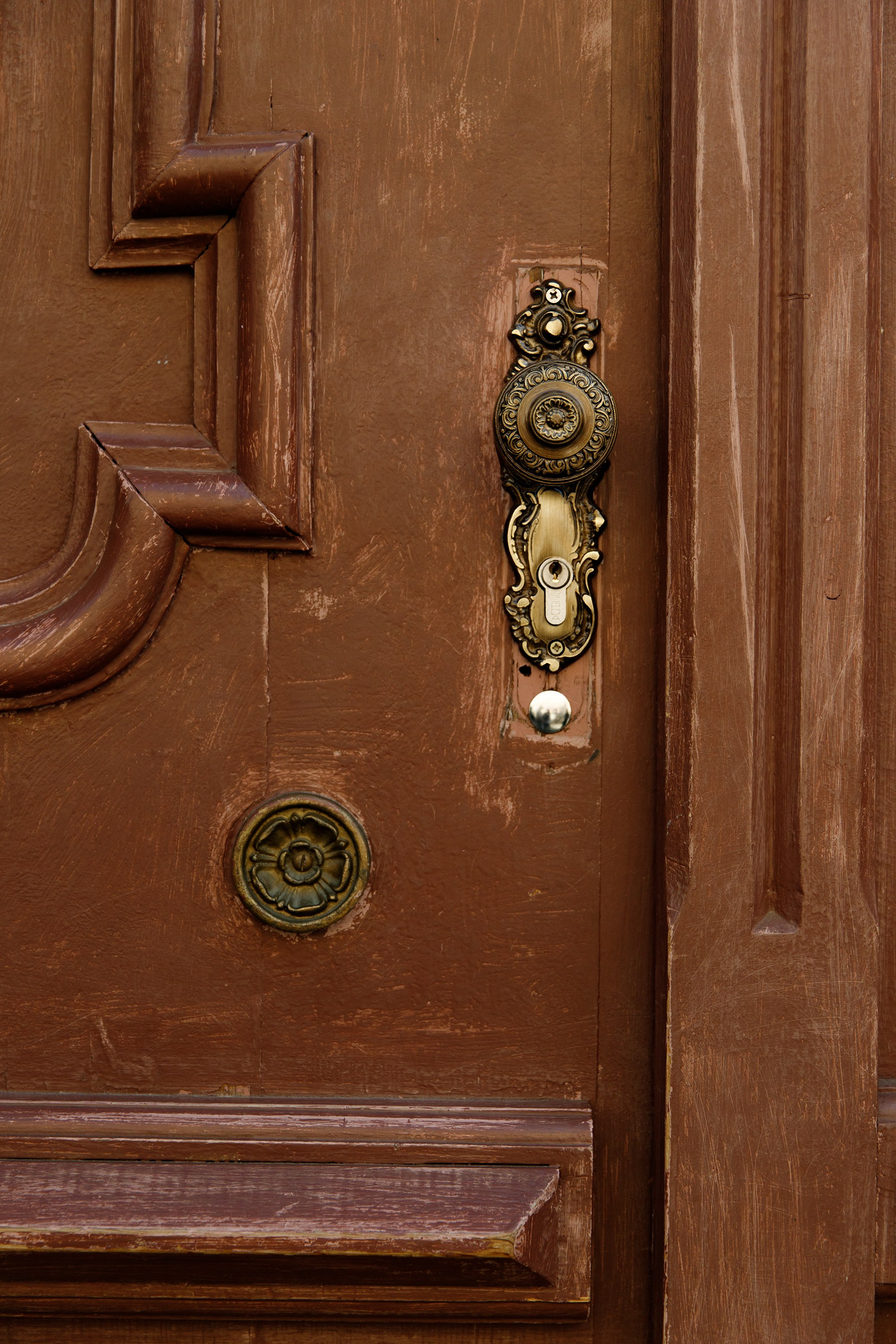 Wroclaw | the best ones. Kaja | fotograf psów we Wrocławiu