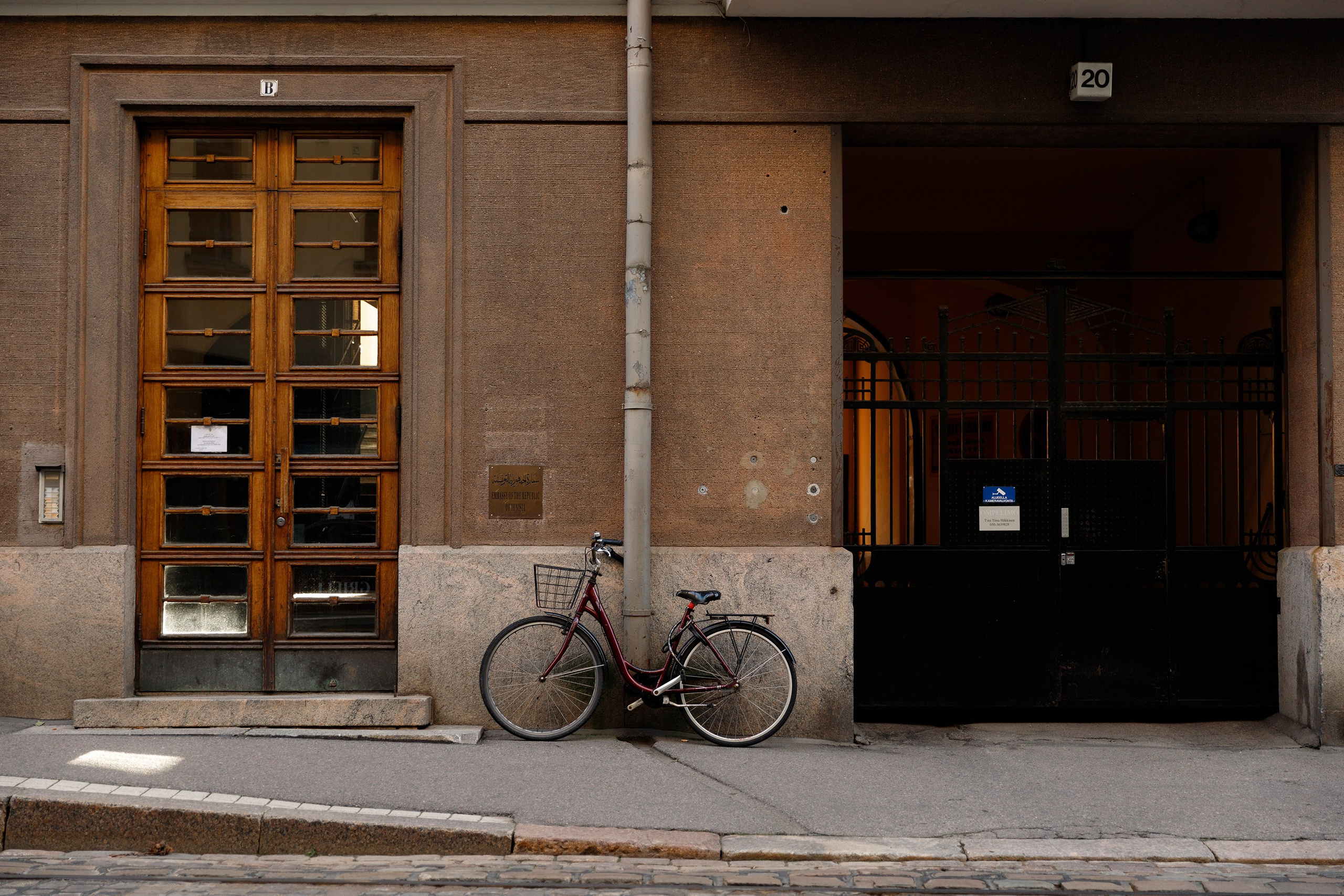 Helsinki. Kaja | fotograf psów we Wrocławiu