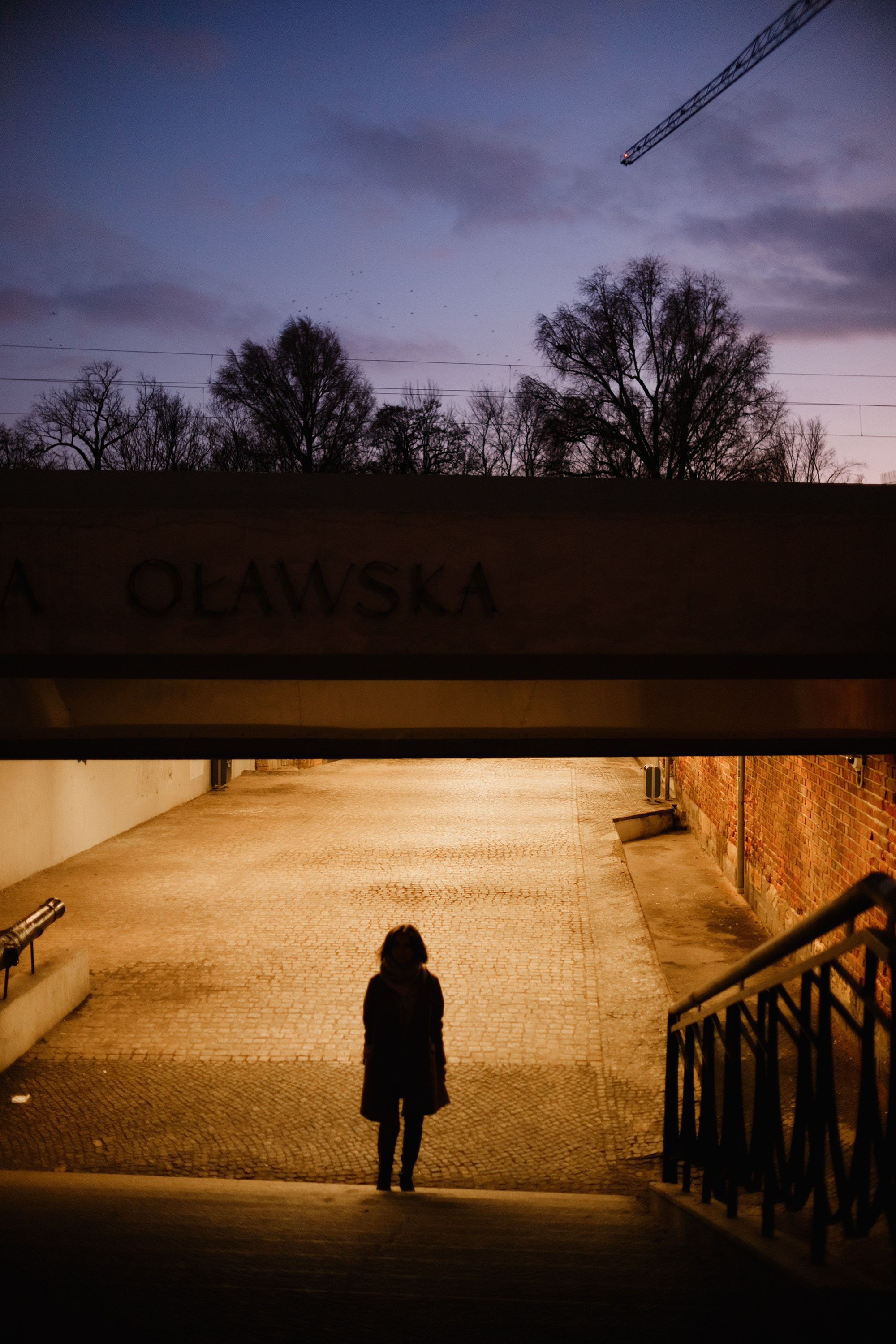 Nastya. Kaja | fotograf psów we Wrocławiu