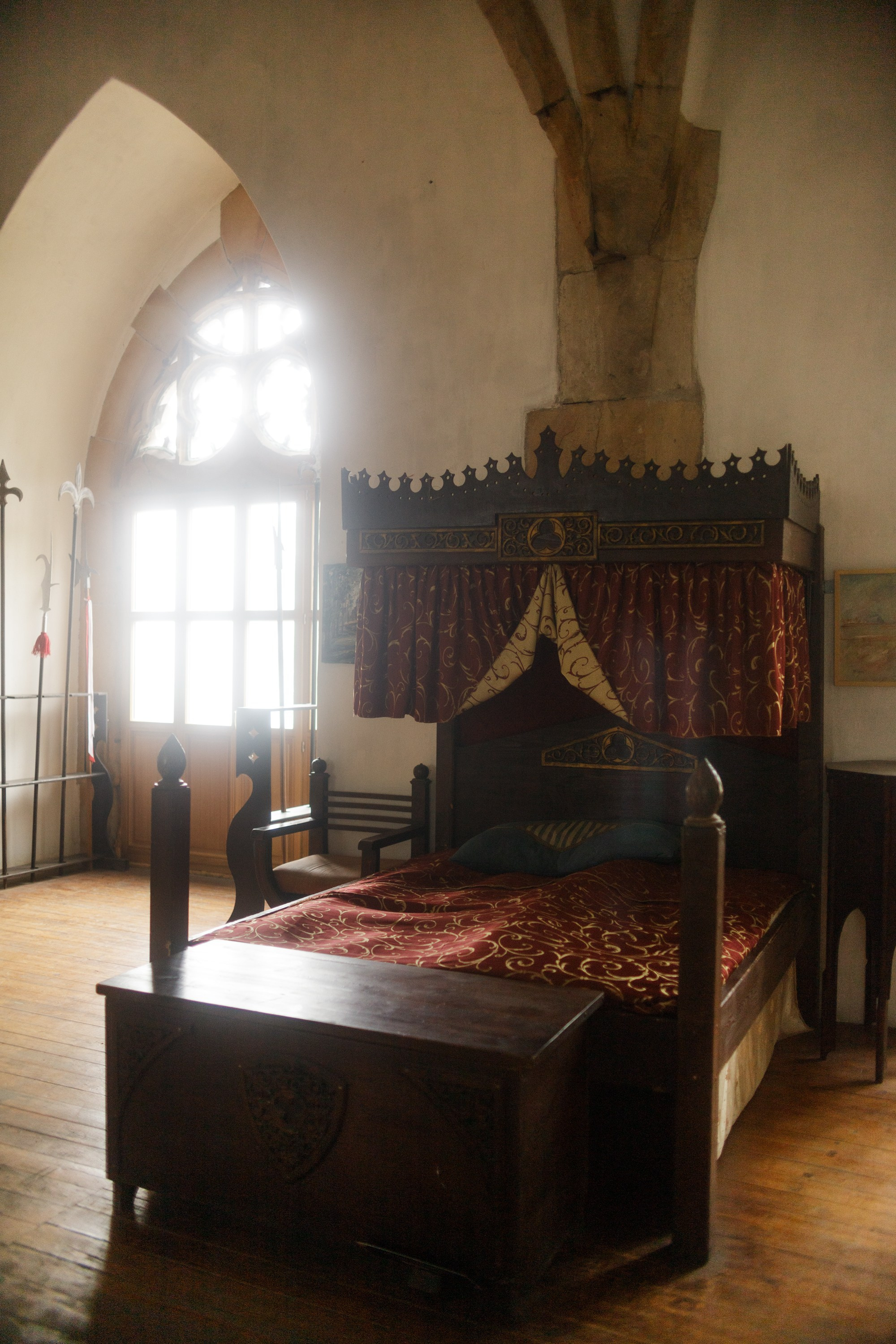 Zamek Grodziec. Kaja | fotograf psów we Wrocławiu