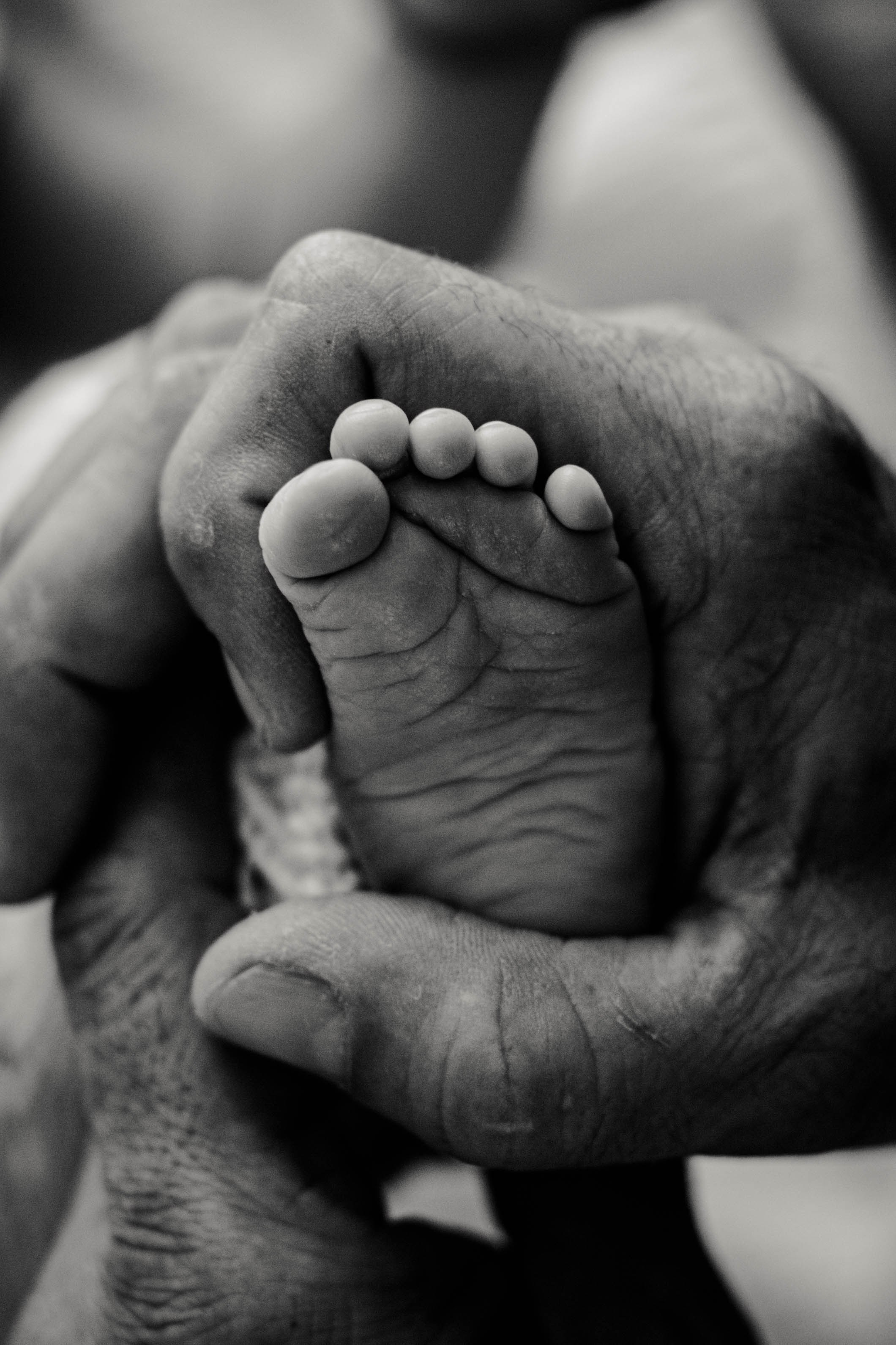 Fresh 48. Фотограф в Испании: Бенисса, Кальпе, Бенидорм, Аликанте Виктория Гунн