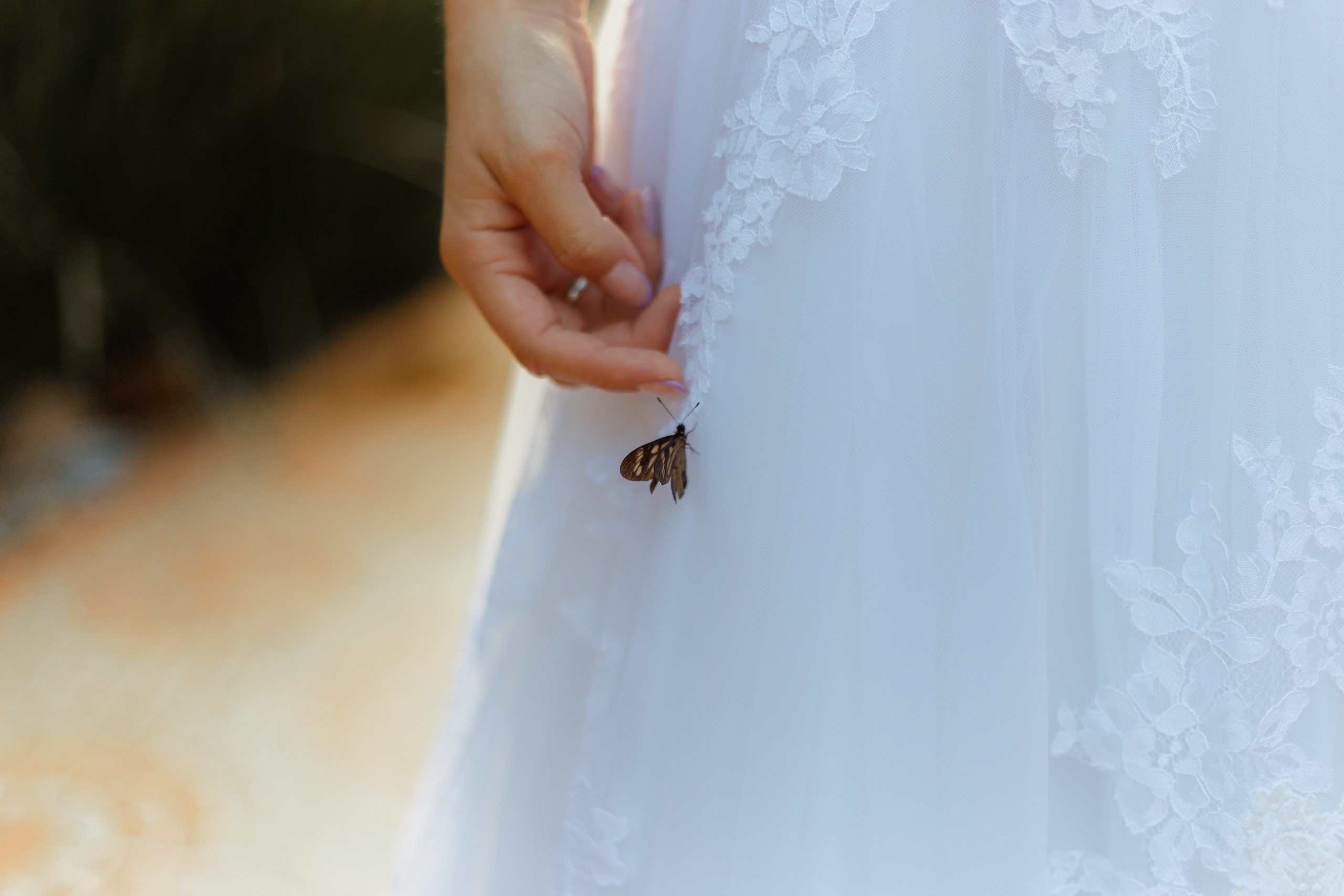 Editorial Noiva (Margaridas)