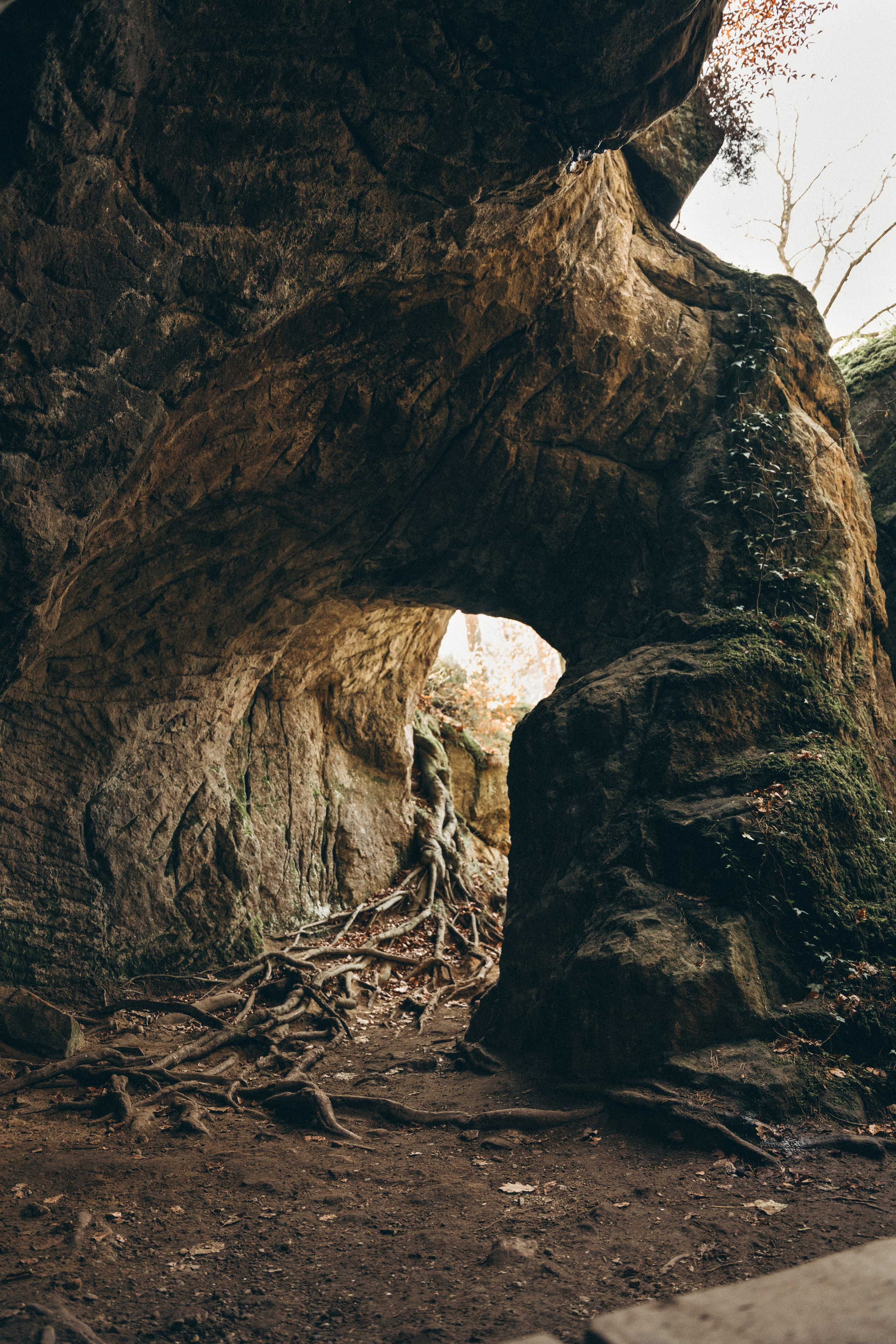 Müllerthal. Elena Seewald