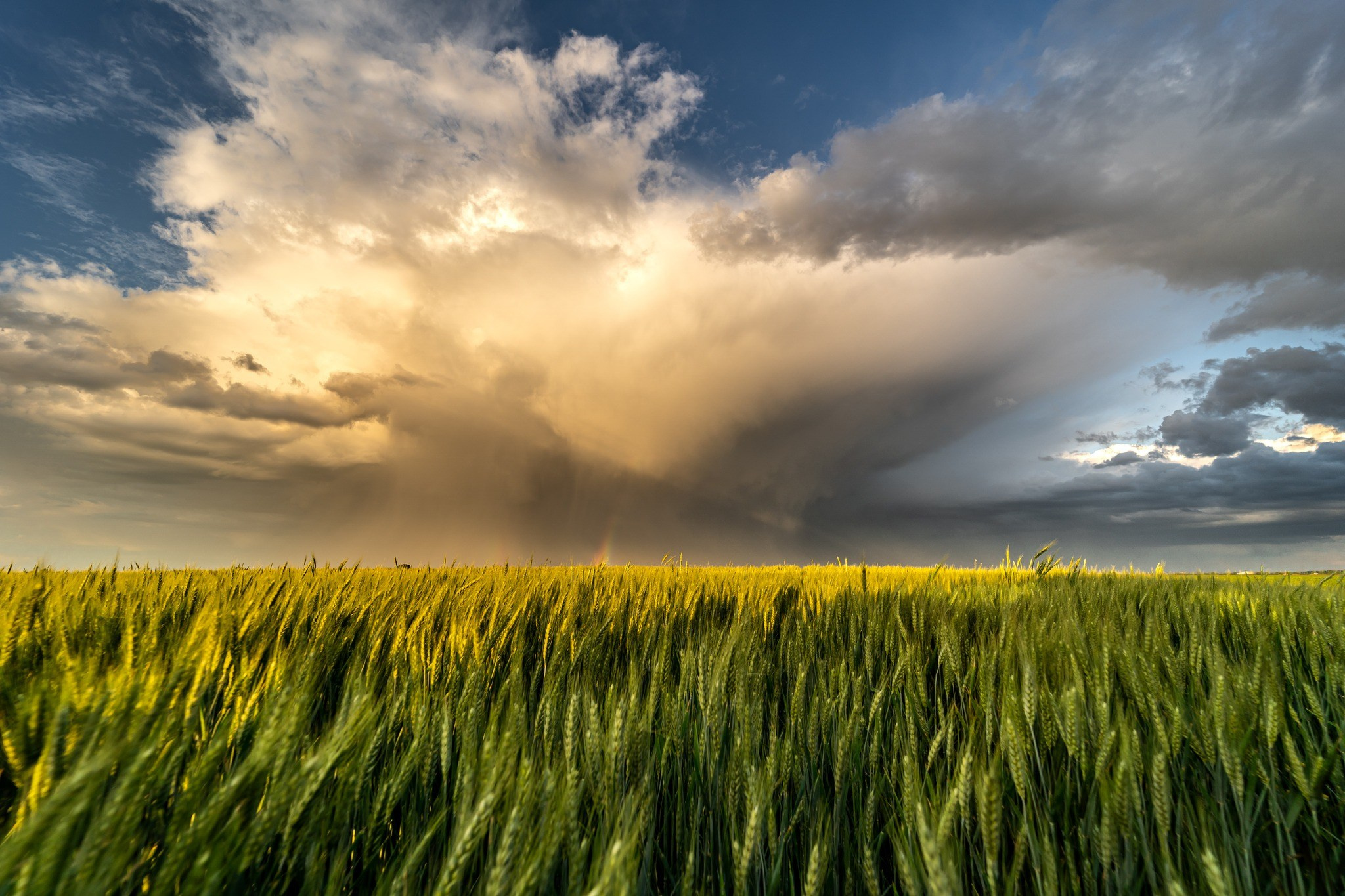 Landscape photography. Wedding photography