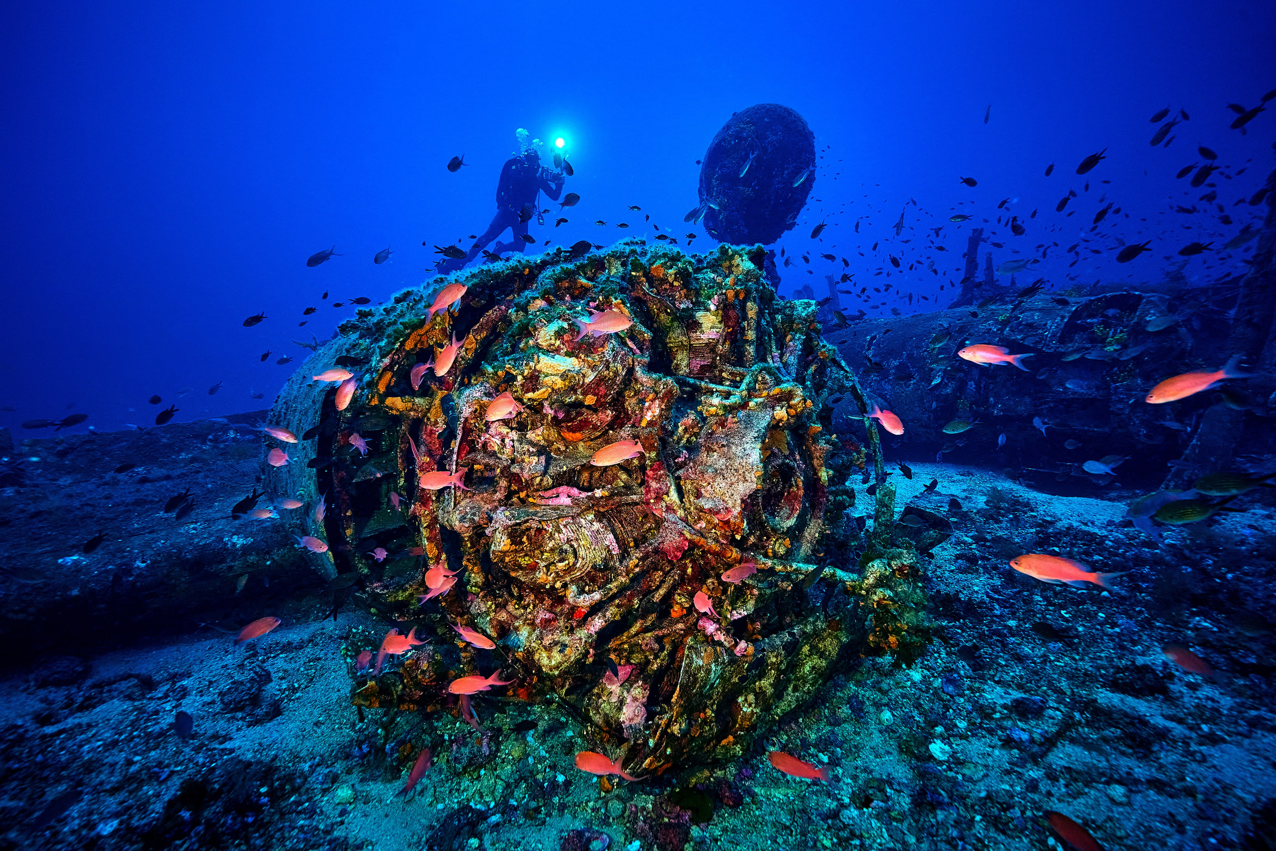Fotograf podwodny Andriej Szypilow. Wrak samolotu B-24 Liberator „Tulsamerican” spoczywa na dnie Adriatyku w pobliżu wysepki Veli Paržanj, położonej na południowy wschód od wyspy Vis. Samolot był ostatnim egzemplarzem wyprodukowanym w fabryce Douglas w Tulsie w stanie Oklahoma, a za jego powstanie zapłacili pracownicy fabryki i okoliczni mieszkańcy, nadając mu przezwisko „Tulsamerican” (ten egzemplarz - między innymi - zrzucał zaopatrzenie dla Powstania Warszawskiego).