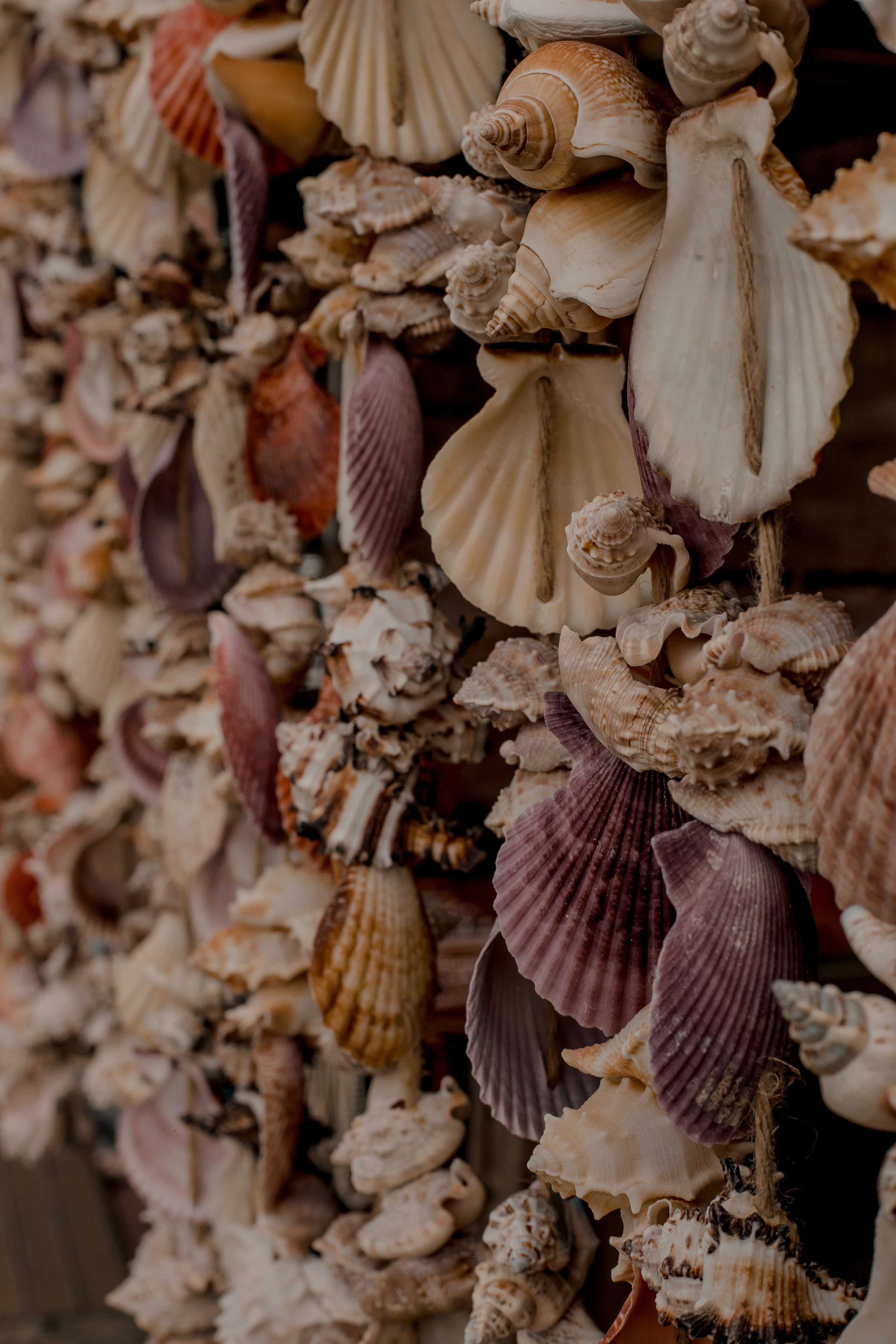 Turkey, Alanya. Art Photographer