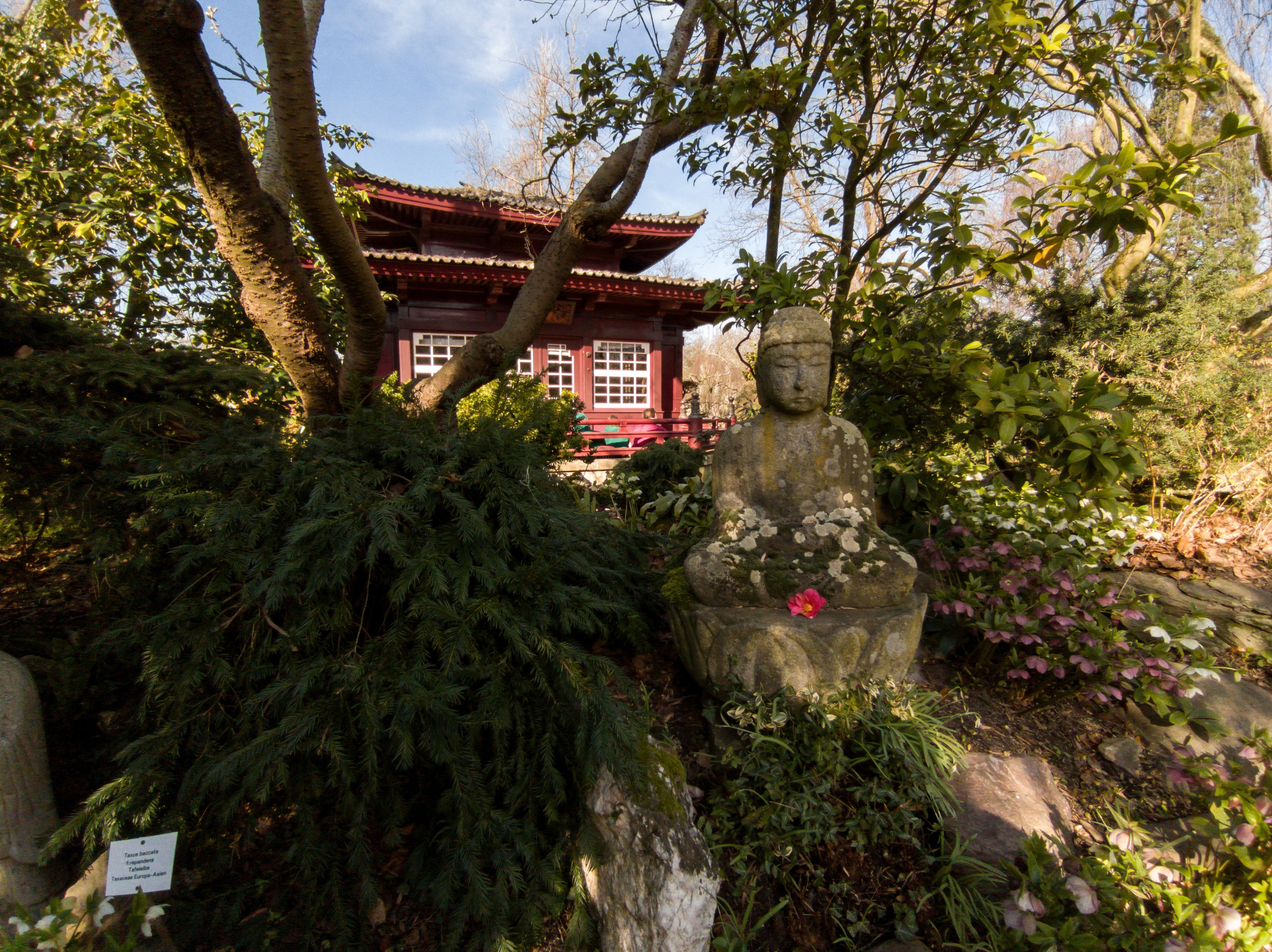 Cologne (Germany) Leverkusen. Fotograf in Köln, Bonn, Düsseldorf, Krefeld