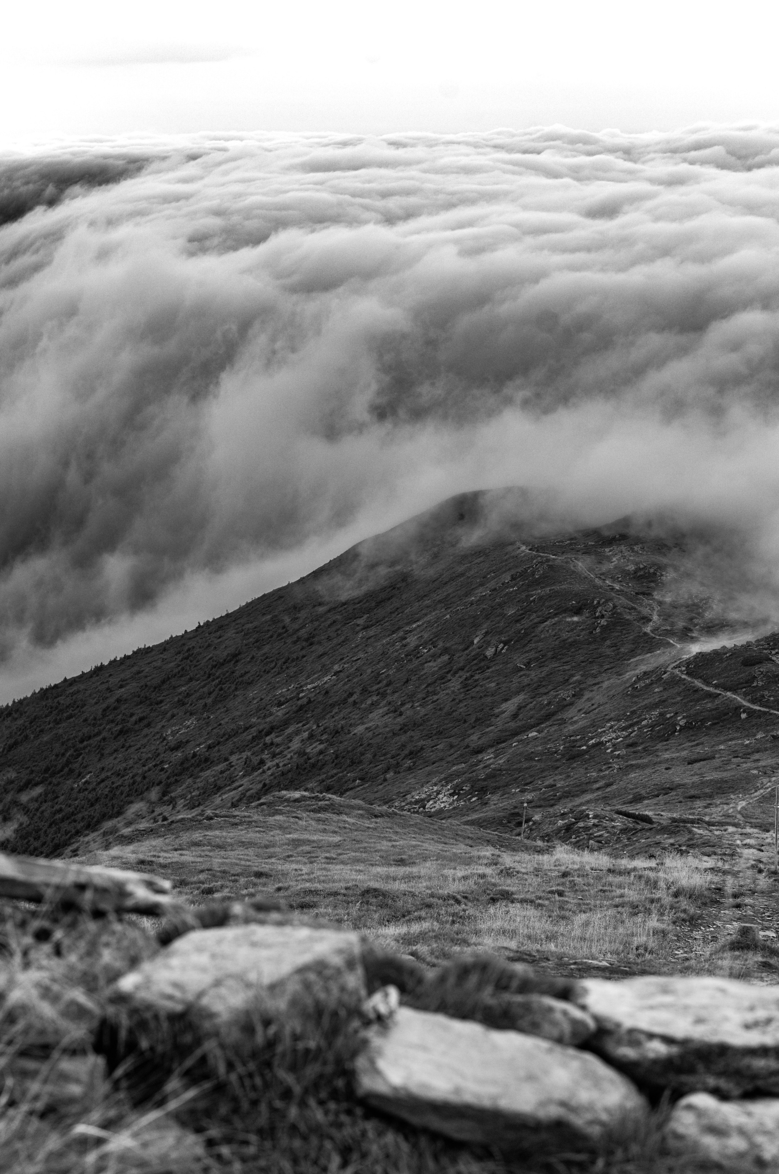 Неоопера-жах «HAMLET» Вільяма Шекспіра. Піп-Іван. Весільний та портретний фотограф Кизим Арсен