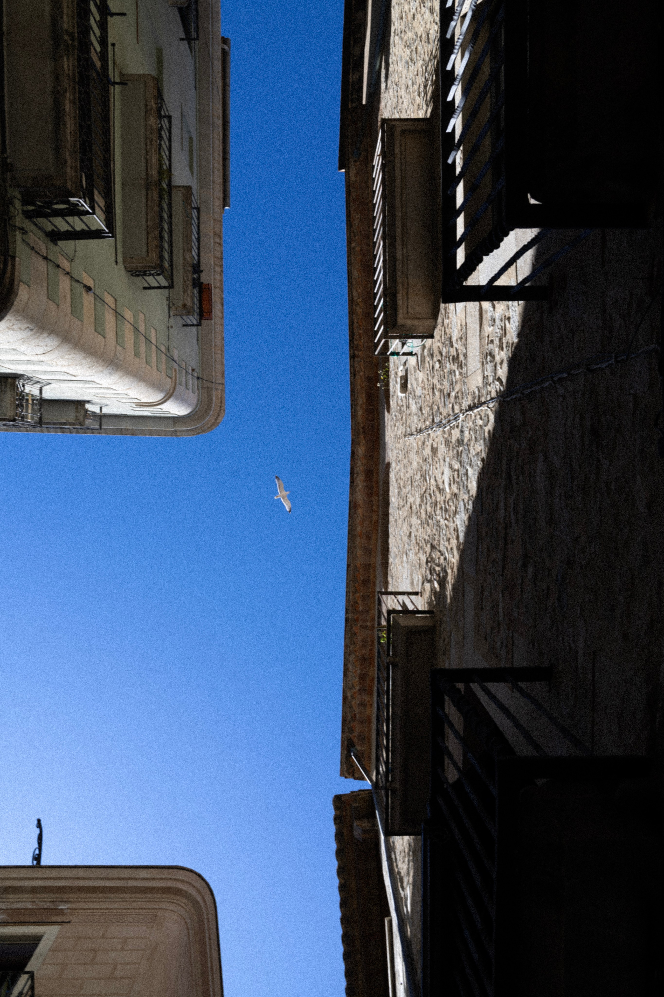 El toque de Gerona. Vladislav Makarov. Portrait & Street style photographer in Baku