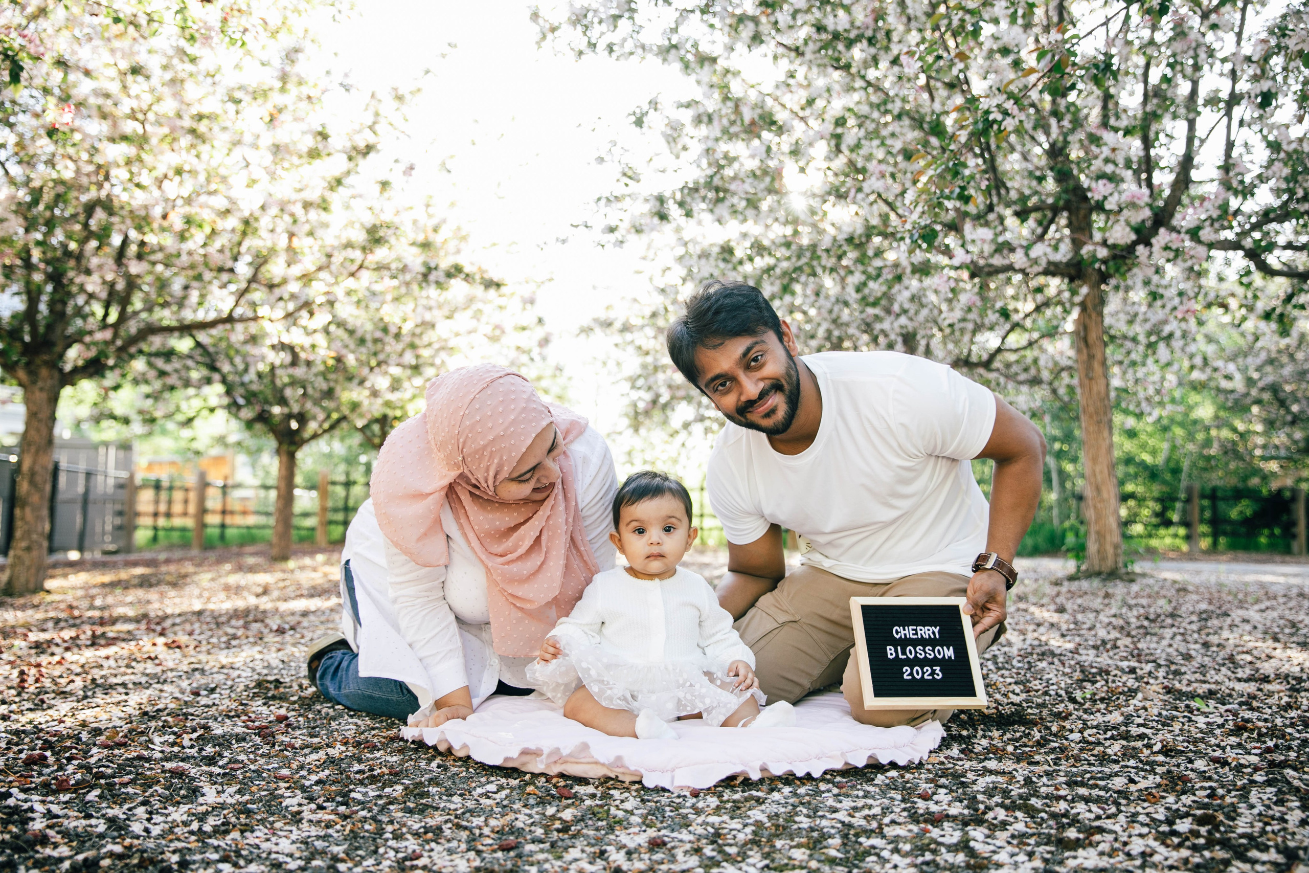Nabeel Cherry Blossoms. Fotografía accesible en Calgary