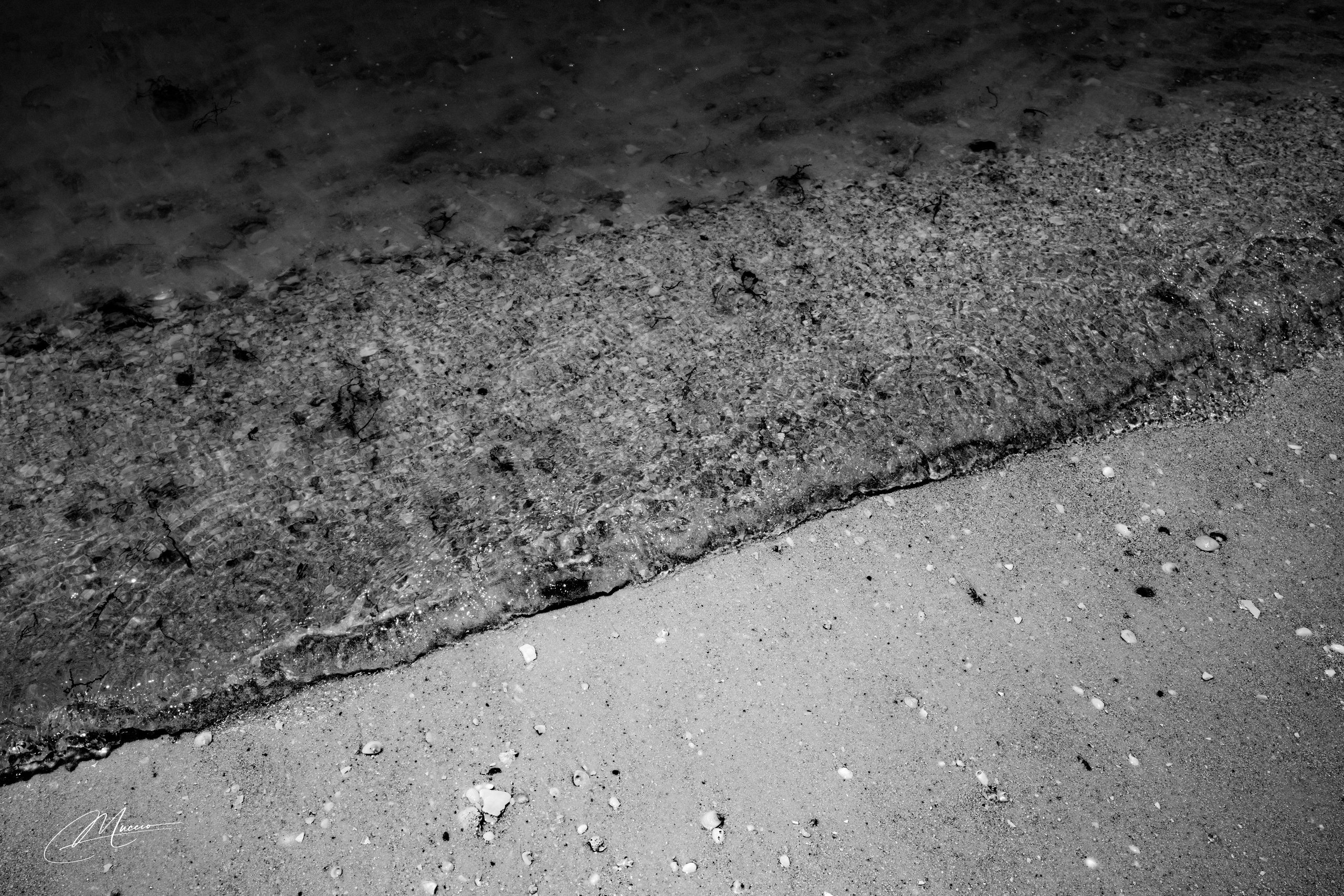 Fort Myers. Out and About 239