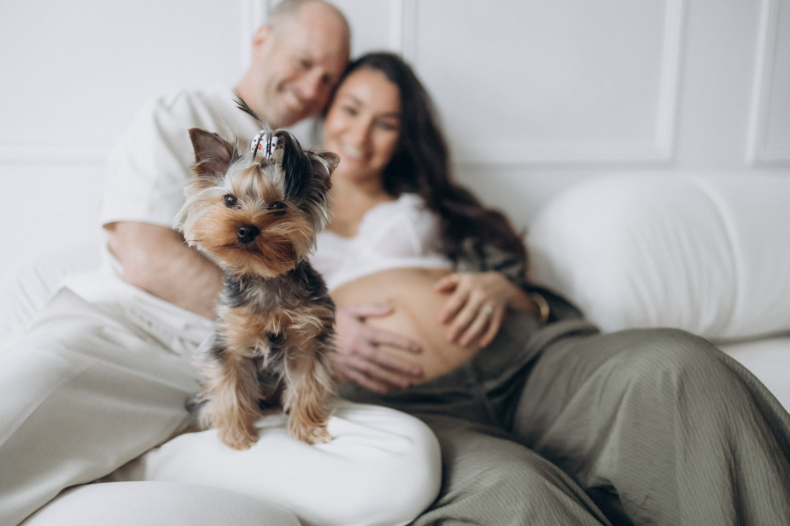 Pregnancy. Photographer in Milton Keynes, Northampton & London — Wedding, Family & Portrait Photography