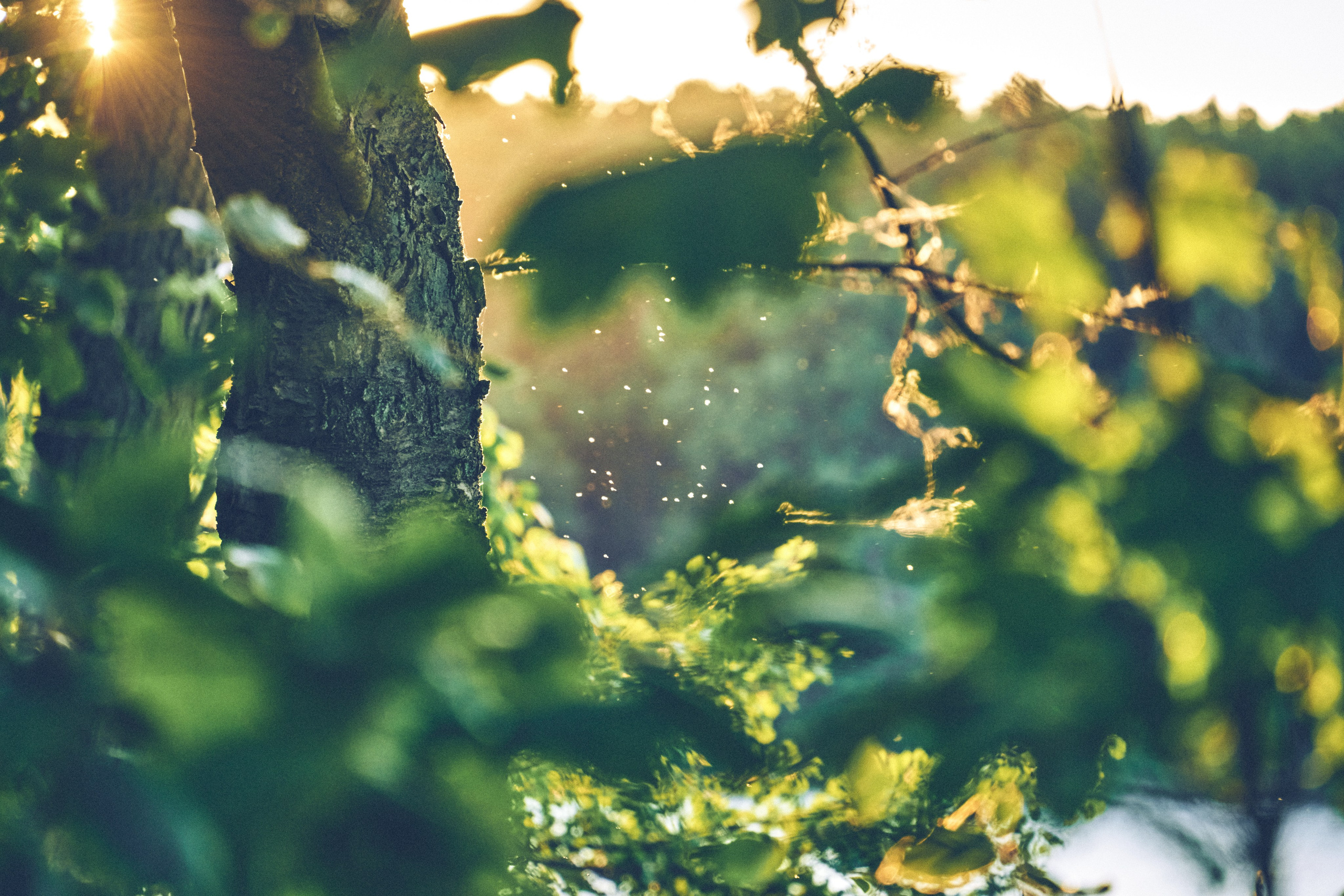 FRUN Freedom Universe — 2023. Andriej Szypilow — Photography & Videography