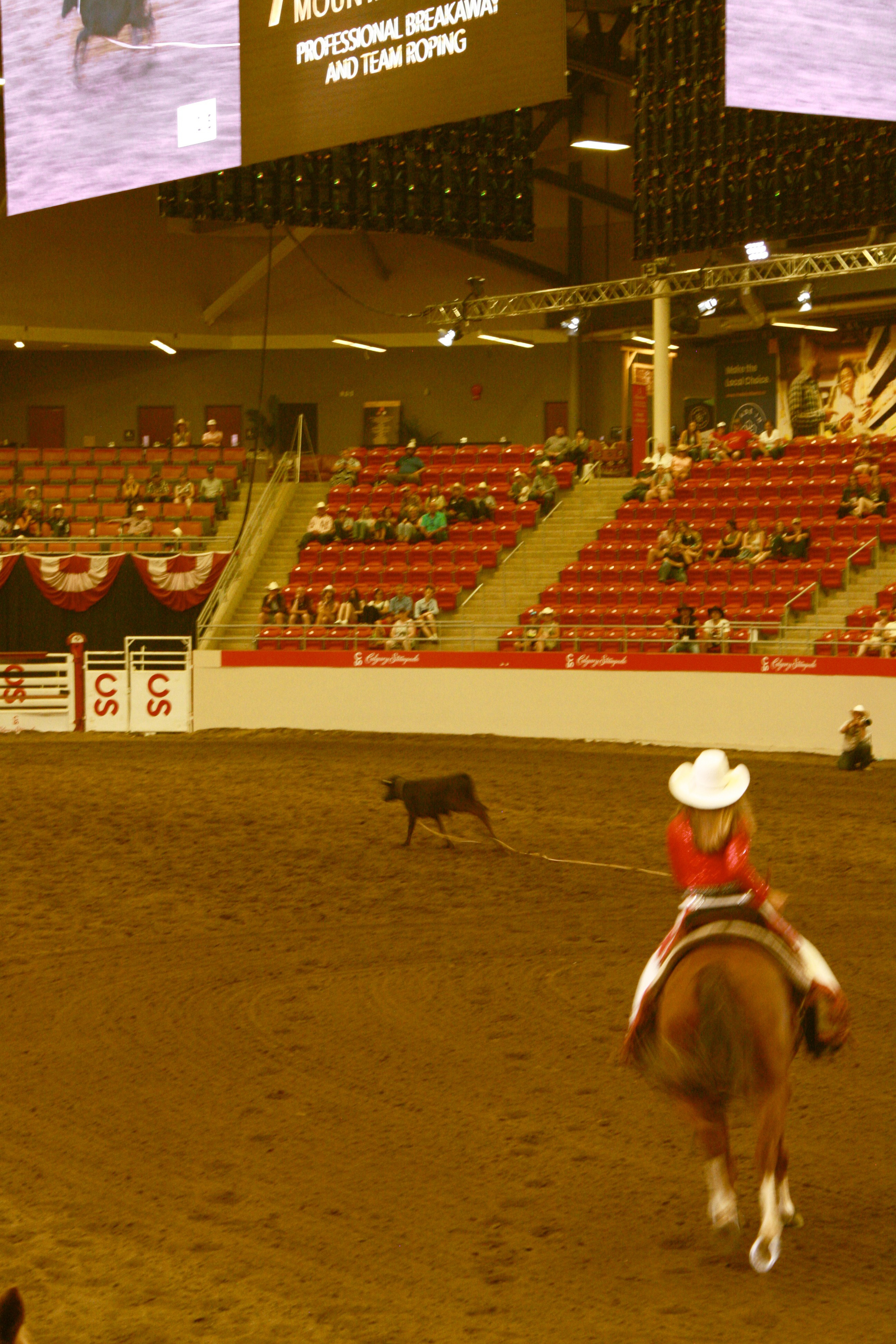 Stamped. Emiliia Kotruch PHOTOGRAPHER