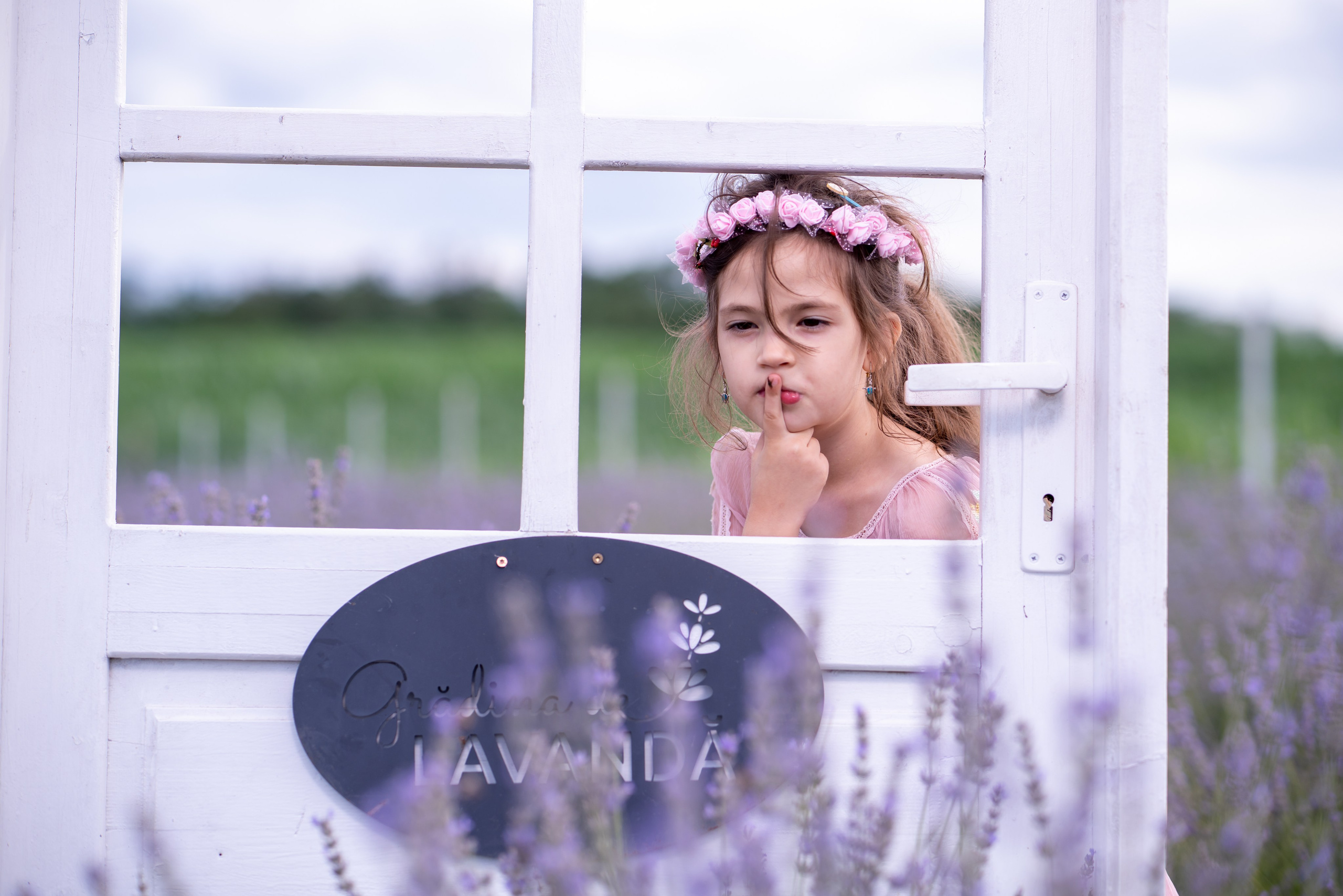 Ședință foto Lavandă Gabriela