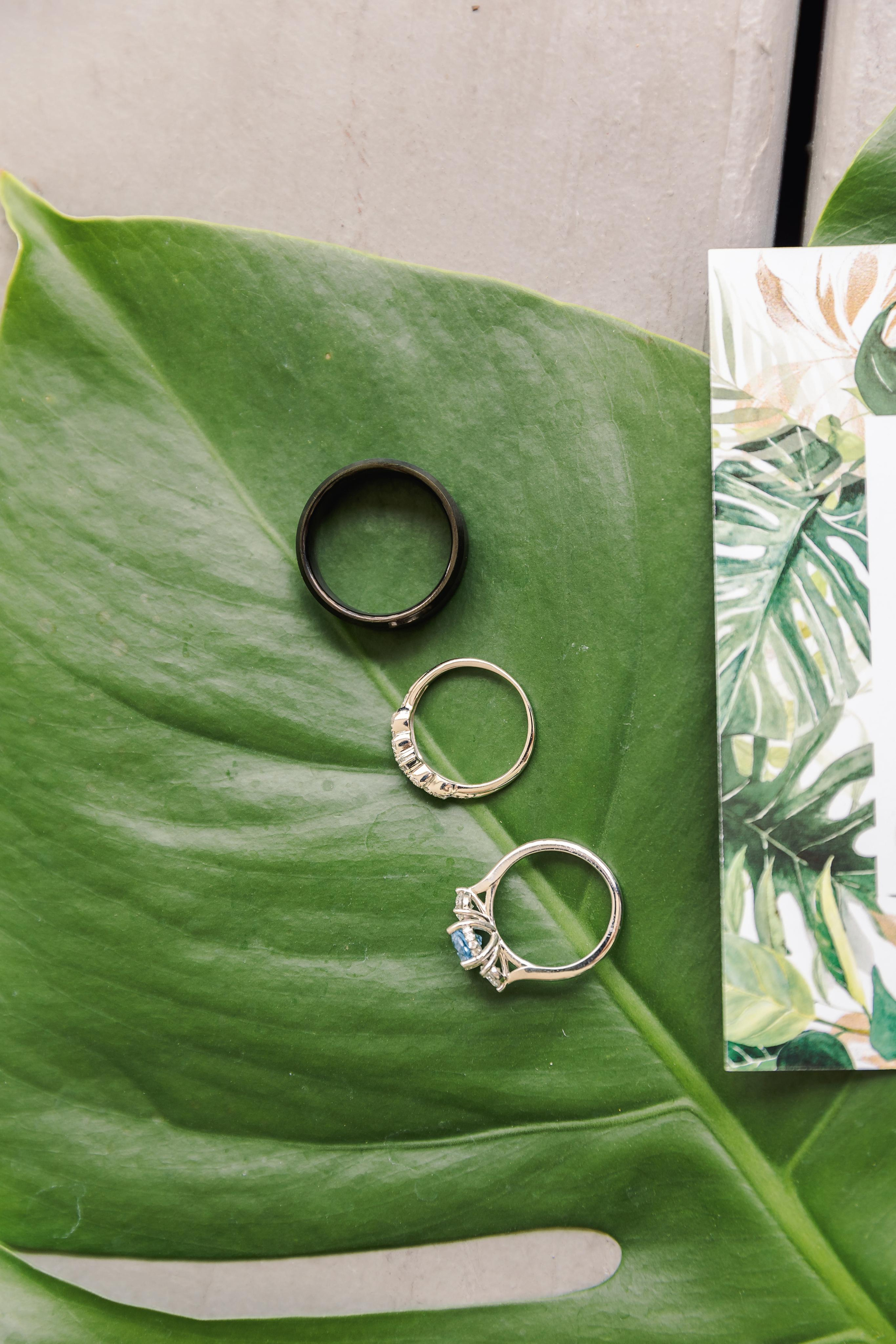 Stephanie&Nick. Wedding photographer in Florida