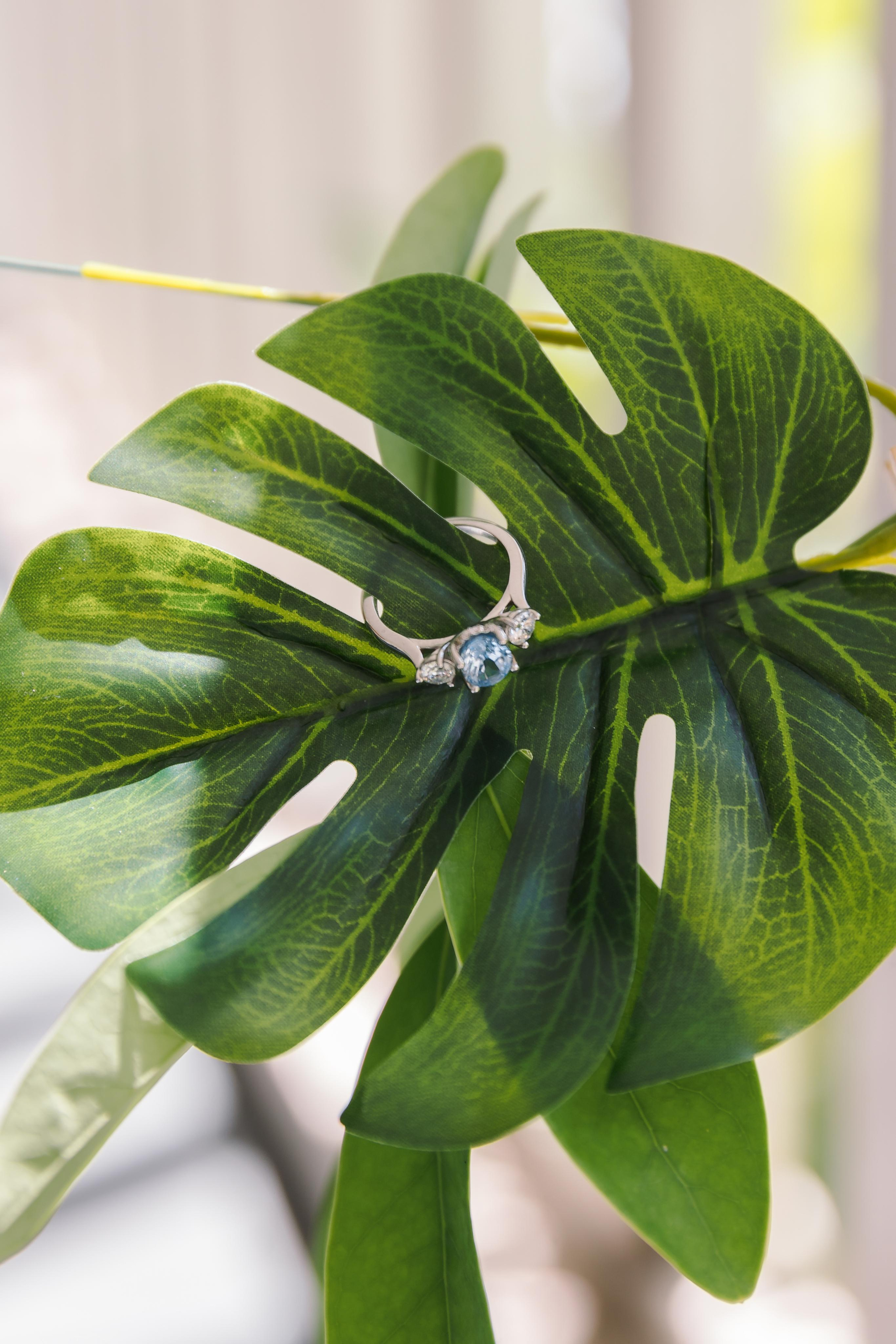 Stephanie&Nick. Wedding photographer in Florida