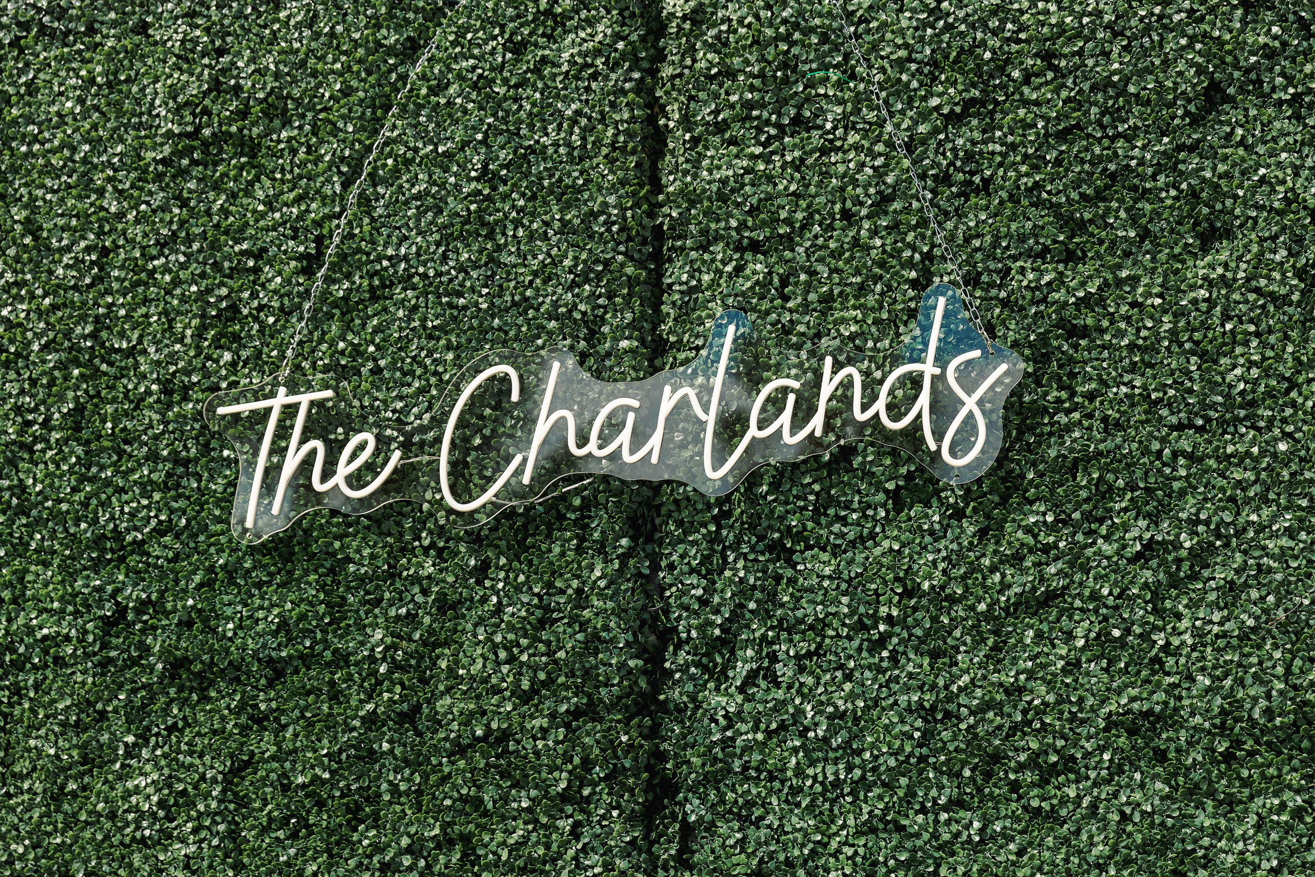 Wedding on the beach. Wedding photographer in Florida