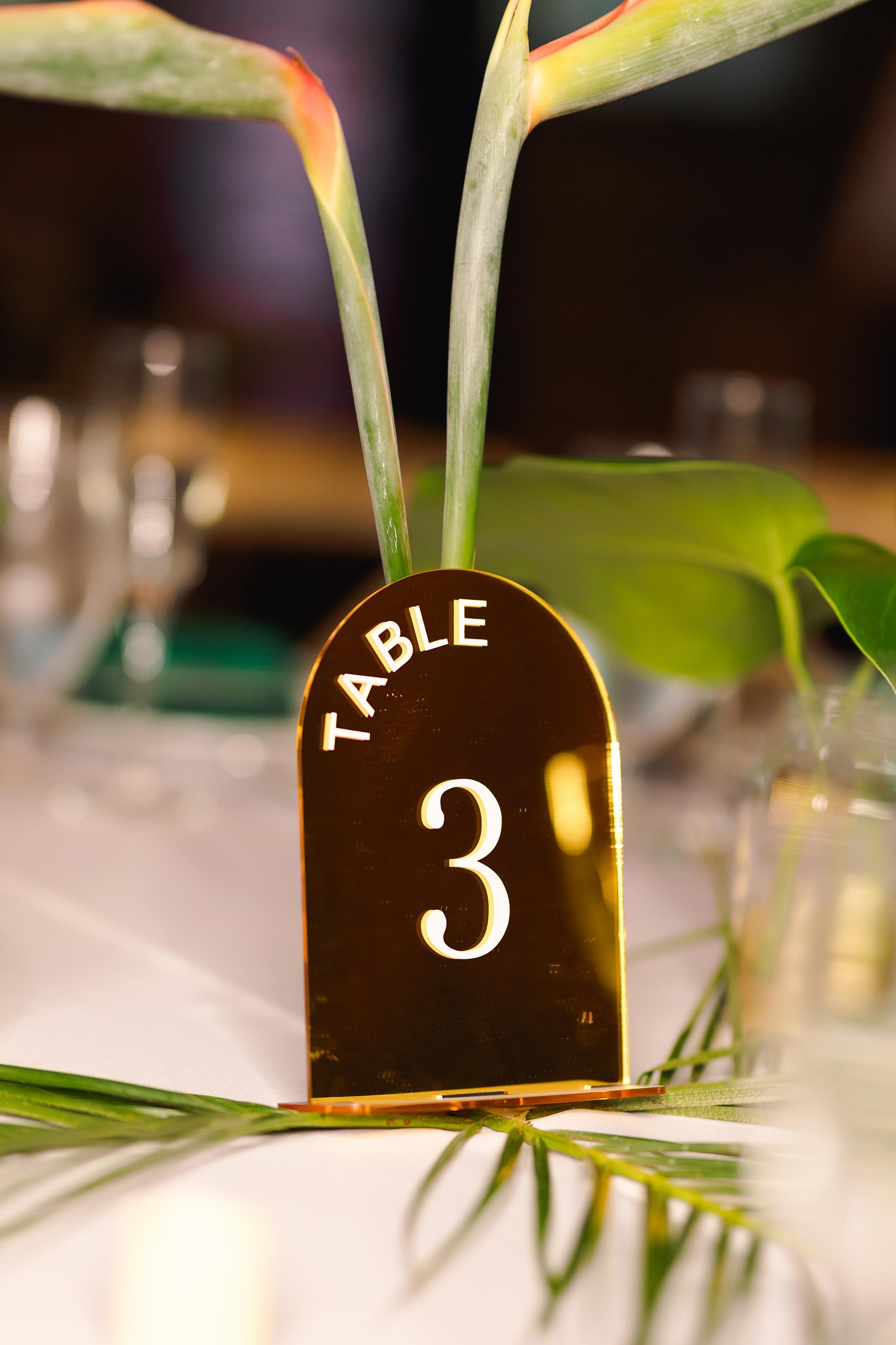 Stephanie&Nick. Wedding photographer in Florida