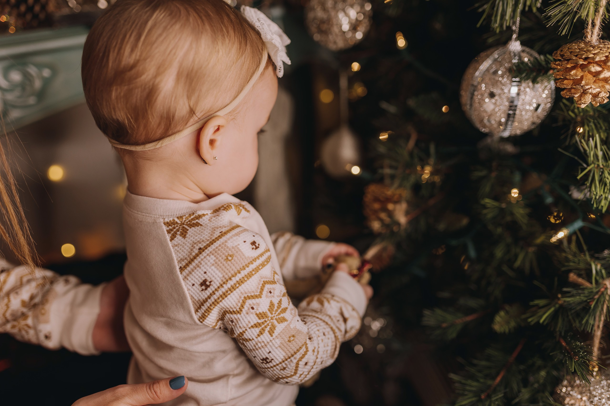 09.12.2023 Christmas Photoshoot. Wedding family event photographer in Chicago Nick Yushevich