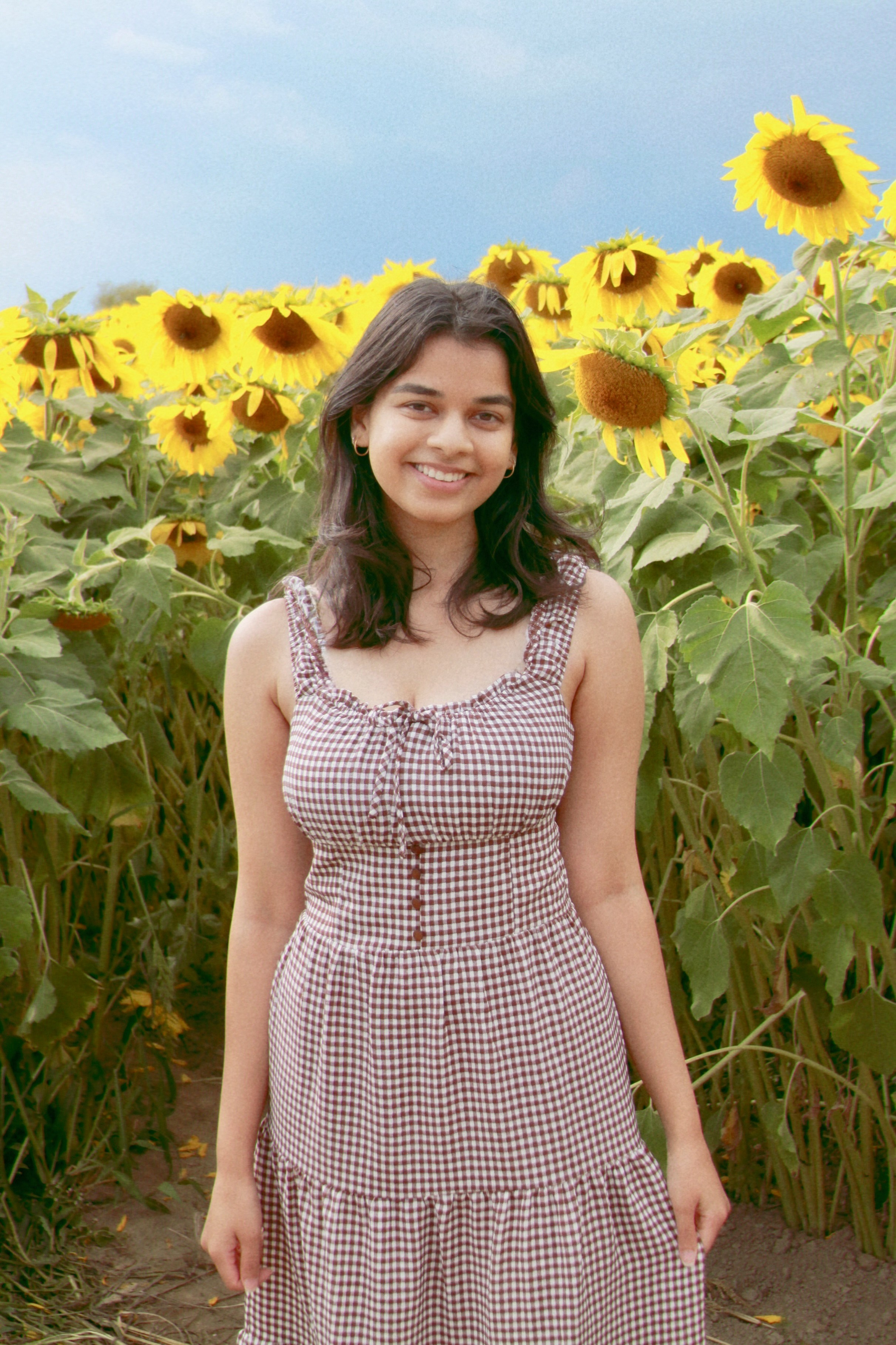 Sunflower farm shoot with Annie. Kelly Sang, graduation and portrait photographer in Boston
