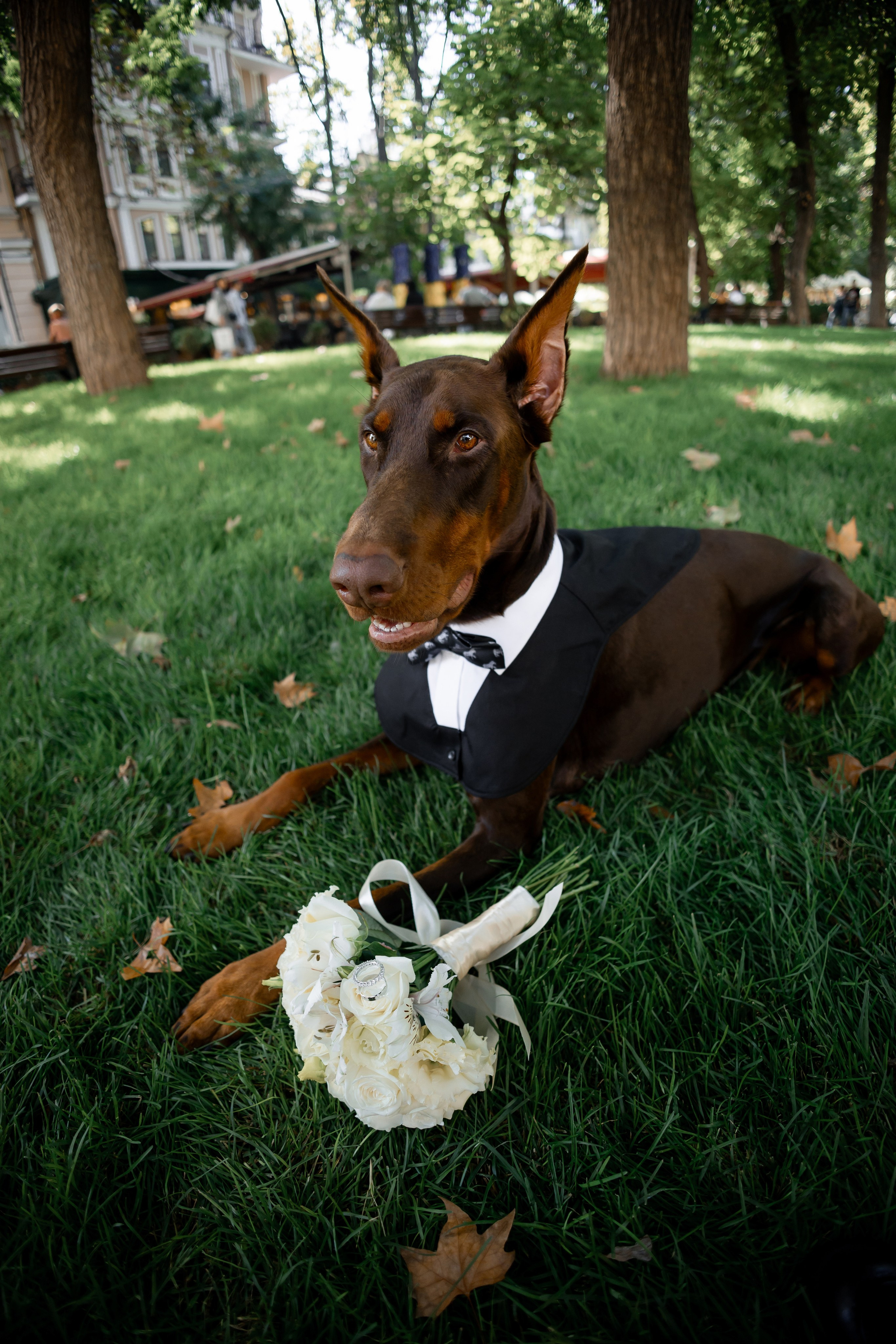 Діана & Влад. Весільний та сімейний фотограф Одеса