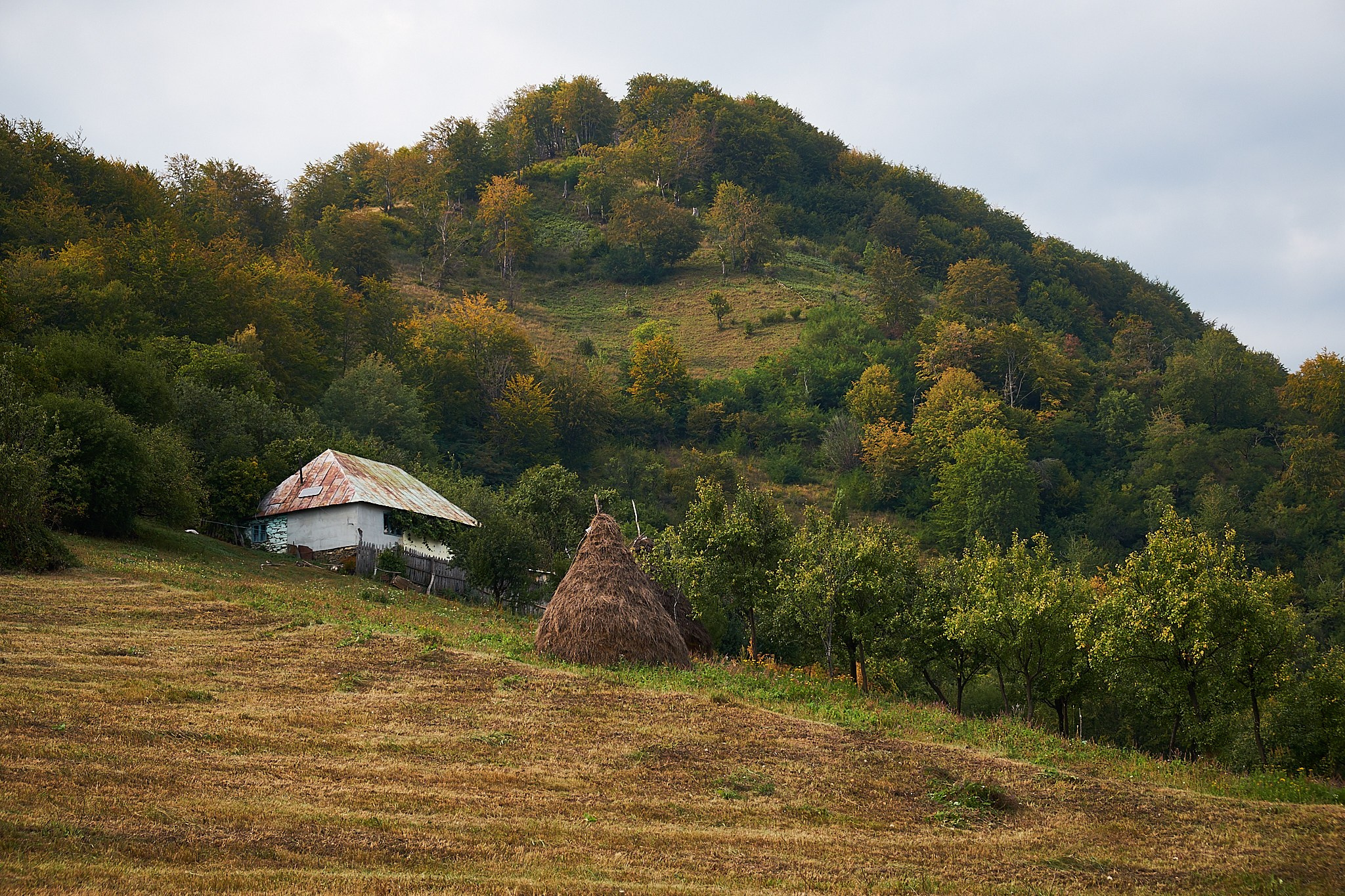 Ineleț, jud. Caraș-Severin. Pagina principală