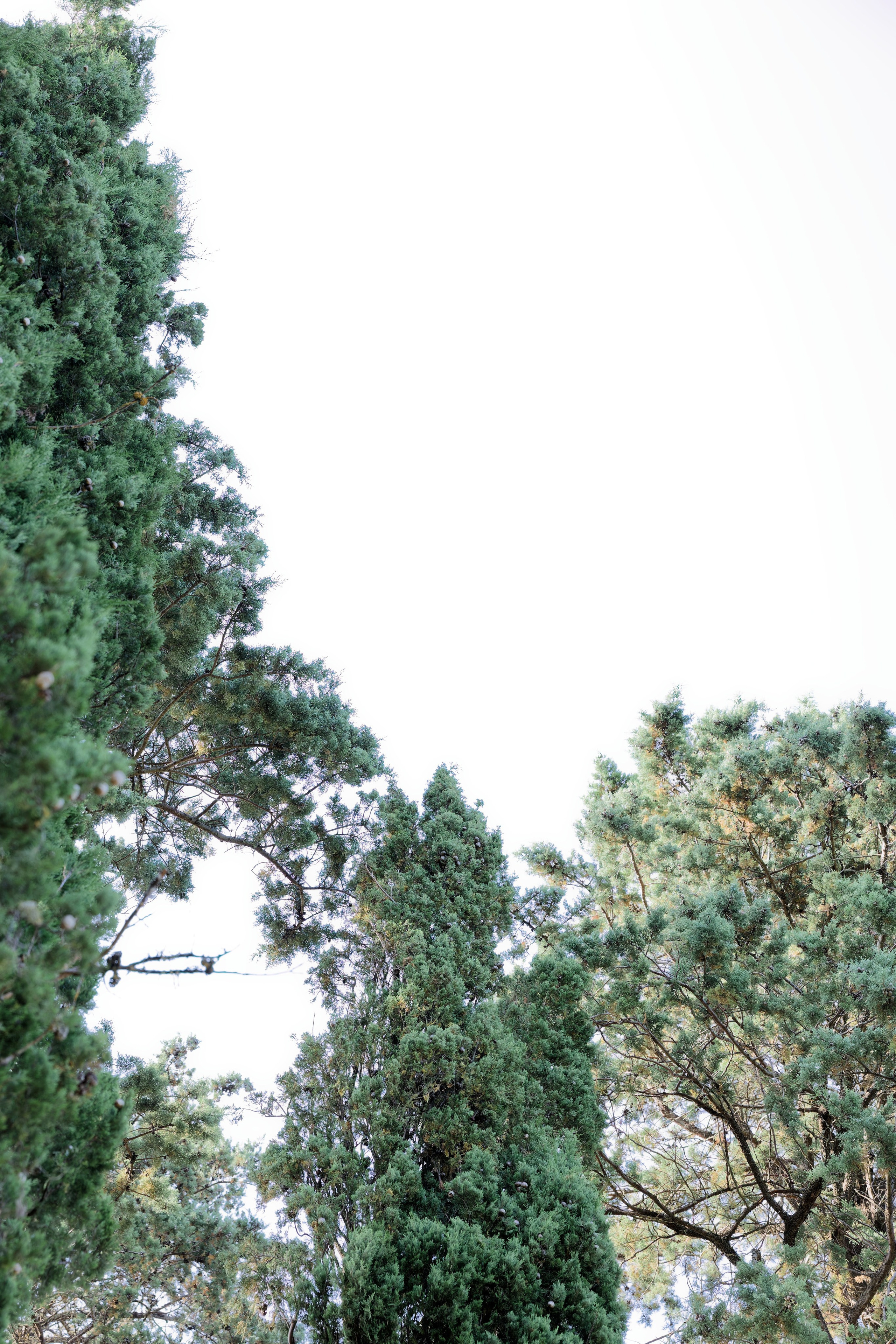 Wedding at Borgo Bastia Creti, Umbria