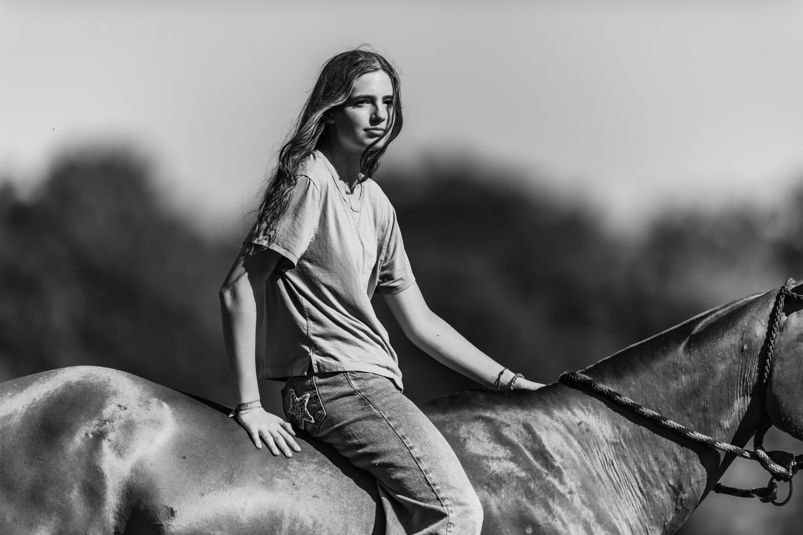 Photo shoot with horses