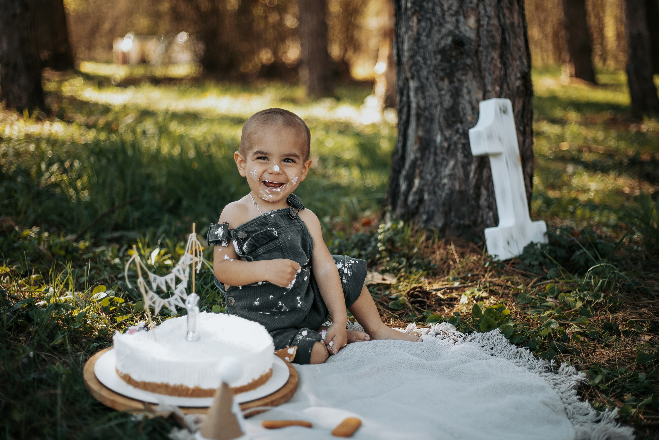 Smash Cake Photography. Family and Wedding Photographer