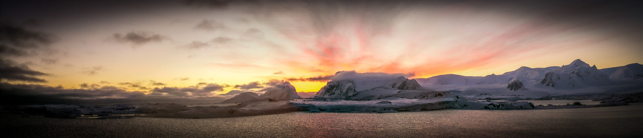 ANTARCTICA / 2004. Reportage concert portrait photography in the San Francisco Bay Area