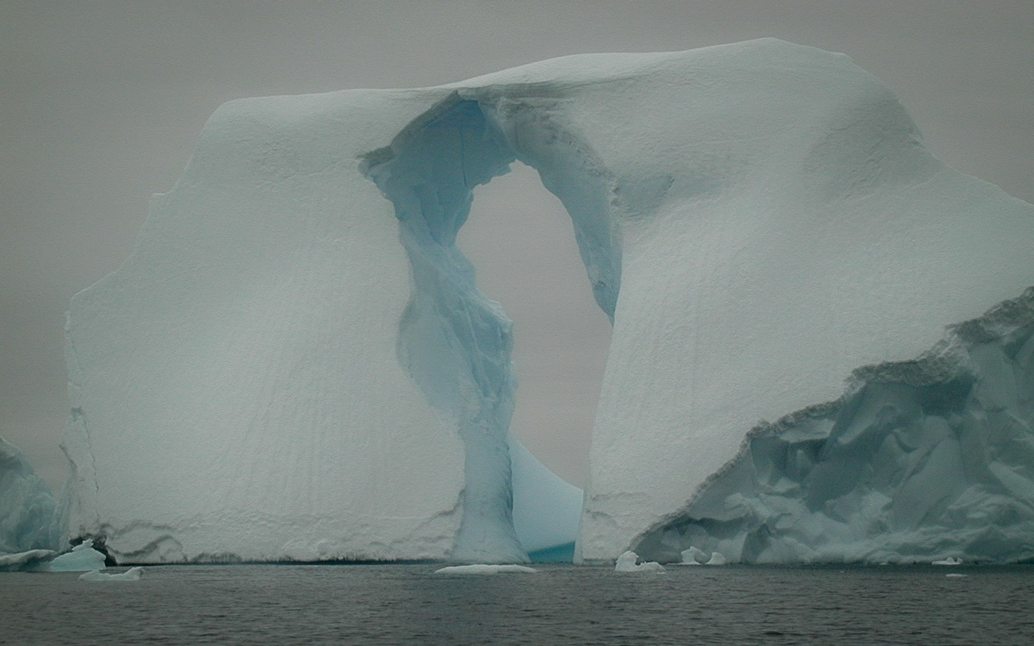 ANTARCTICA / 2004. Reportage concert portrait photography in the San Francisco Bay Area