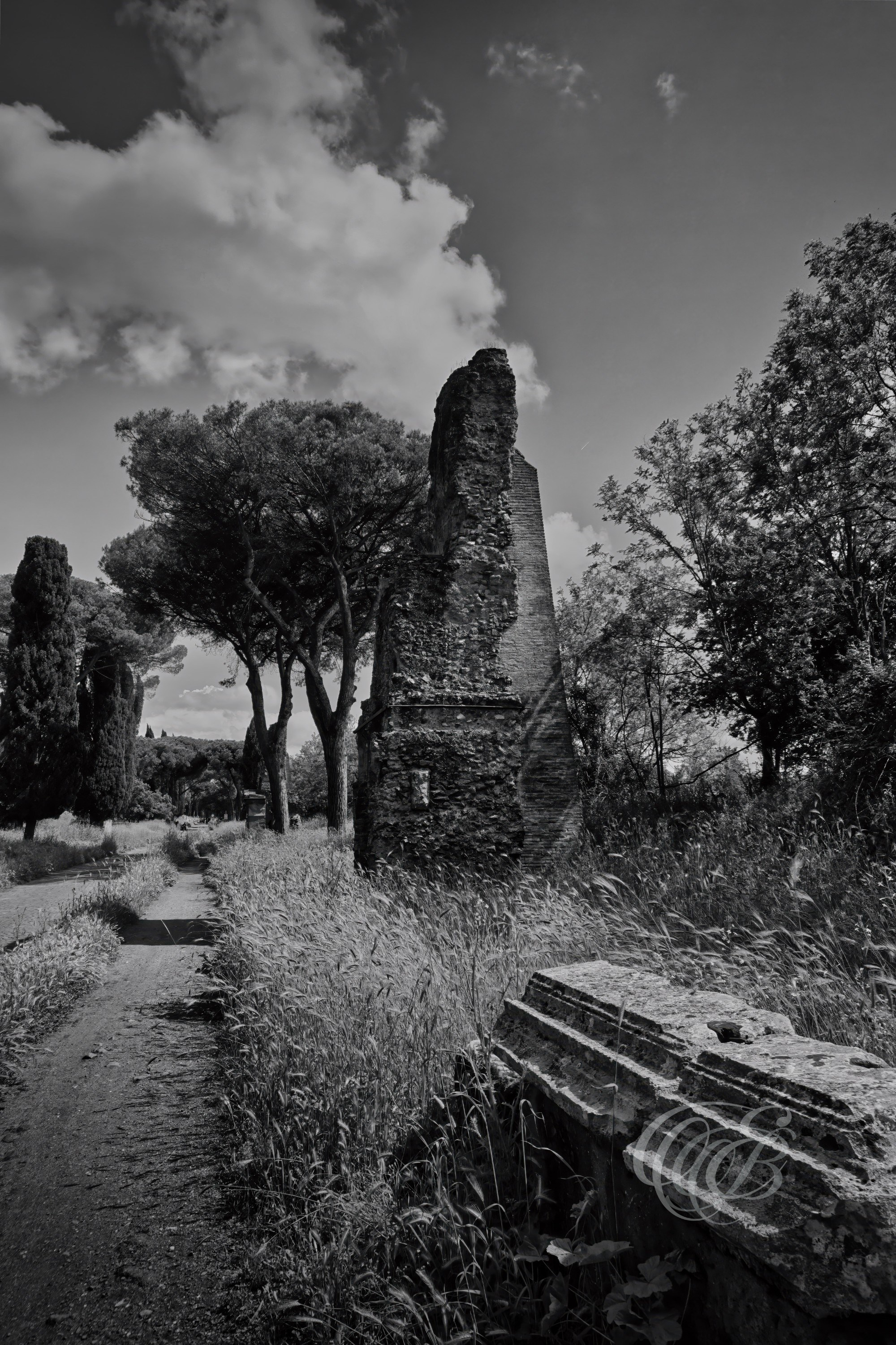 Italy - Rome - Via Appia Antica in black and white, ancient Roman road lined with historic stones and ruins, photography of Italy, Eduardo Bartoli Photography