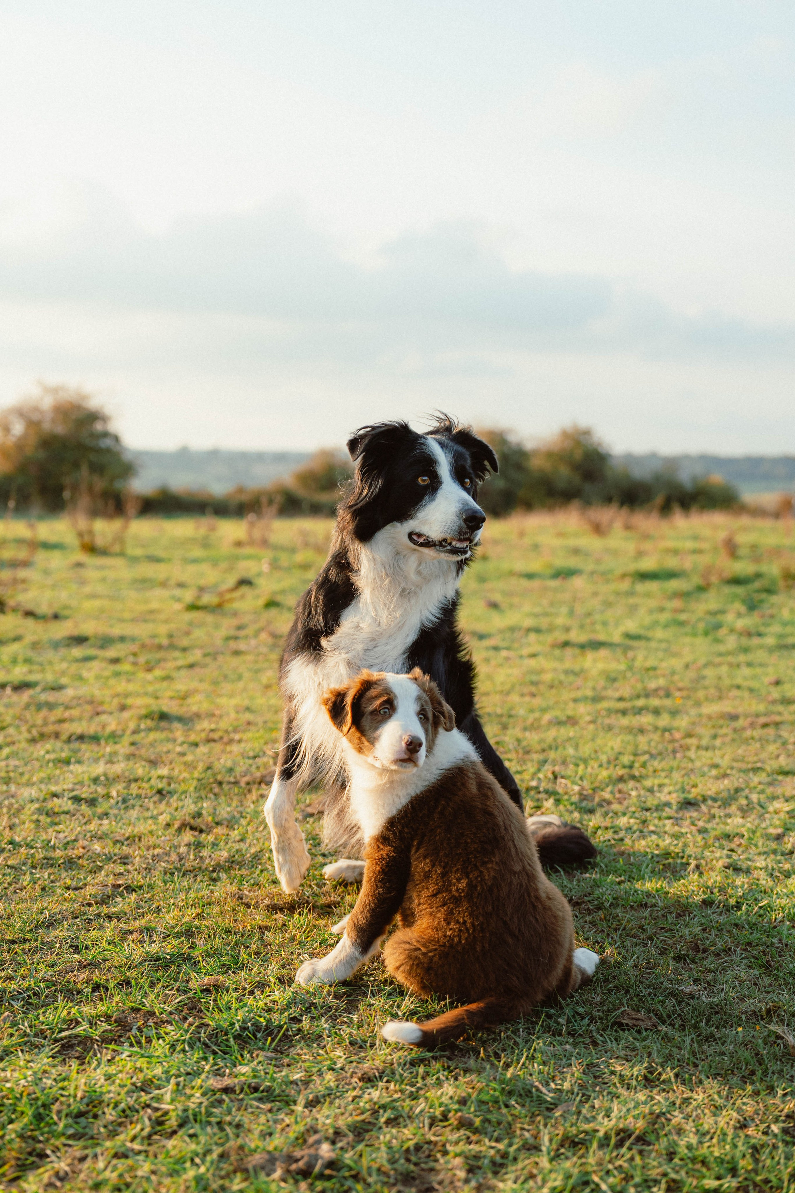 Victoria & Mehdi. Weeding photographer / event / portrait