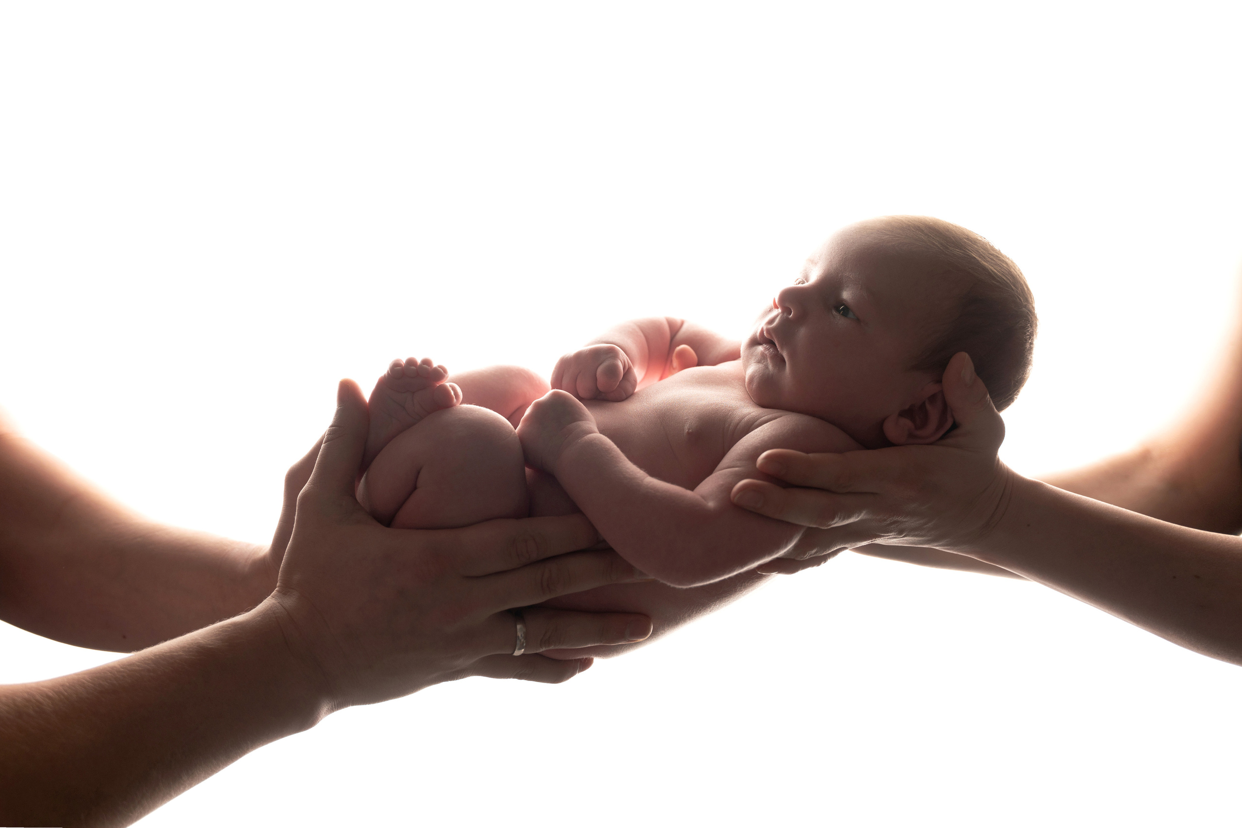 auf weißem Hintergrund halten Eltern das Baby auf ausgestreckten Armen