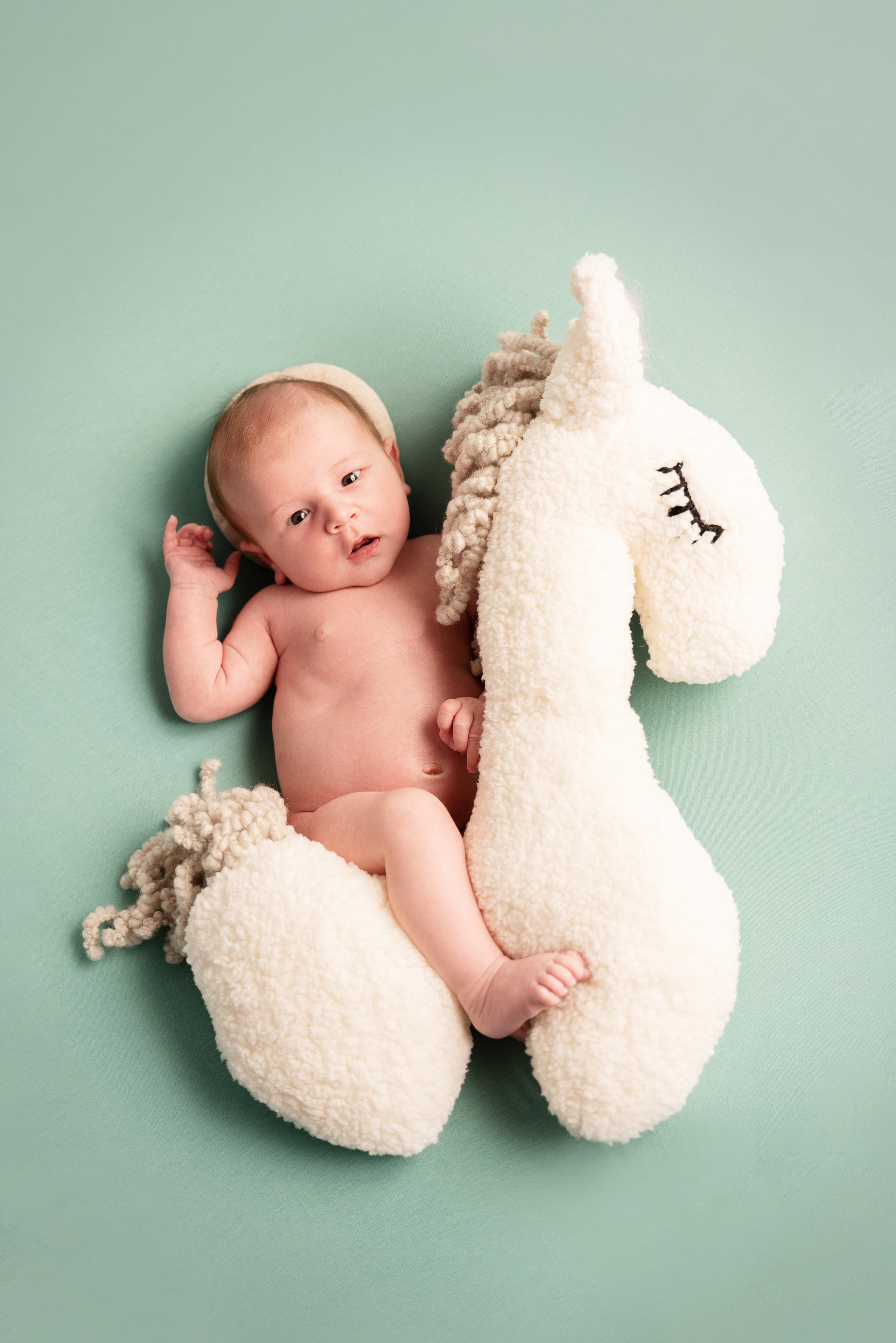 auf einem grünen Hintergrund auf einem weißen Pferd posiert ein Kind für einen Fotografen