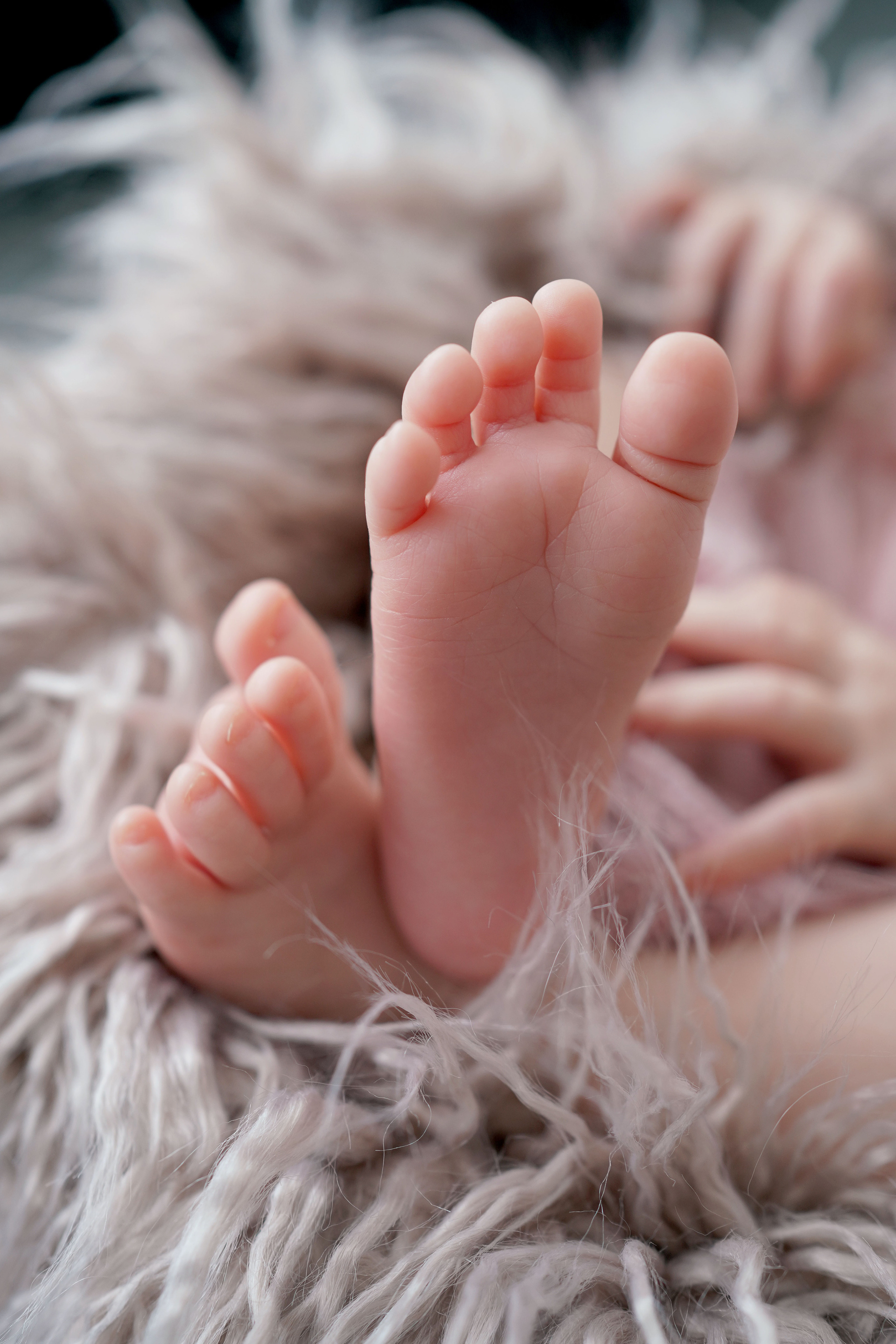 Newborn mit einem neugeborenen Mädchen in Dilling. Neugeborenenfotografin und Retoucher in Augsburg Nastassia Schneider